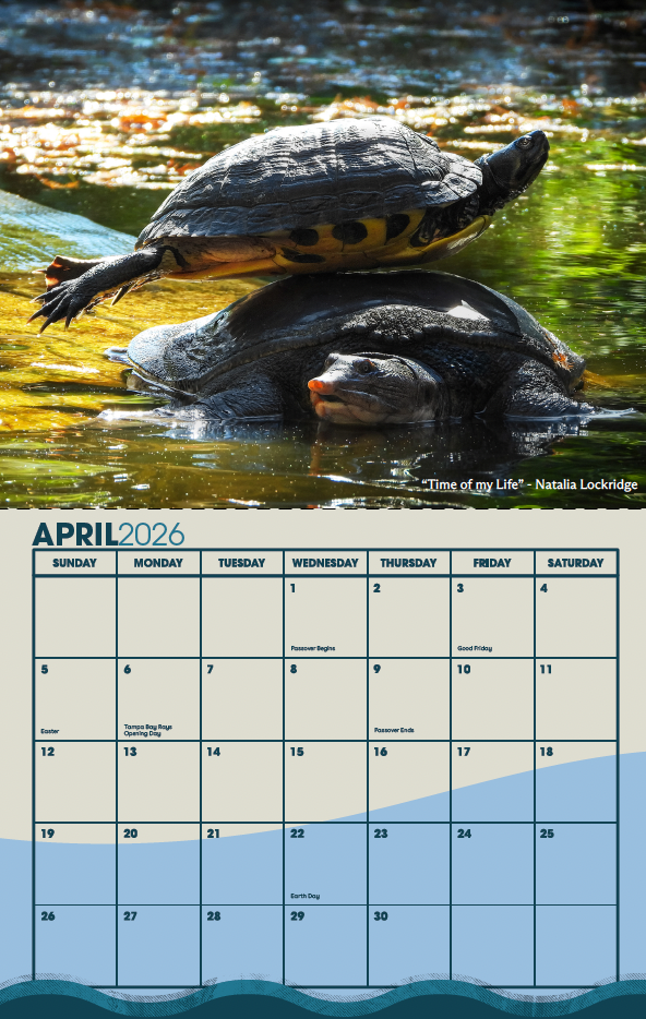 Calendar Contest in Florida for Non Profit Native Wildlfie