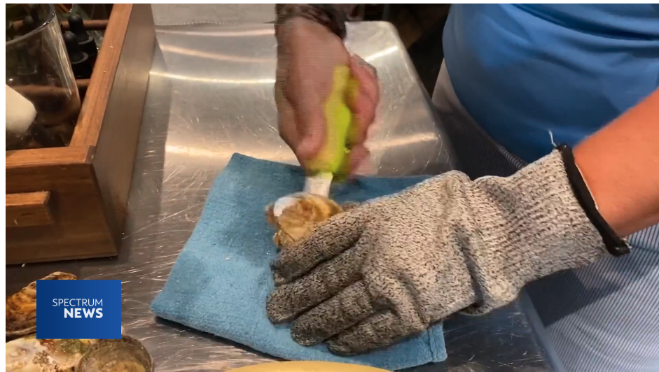 Recycled Oyster Shells from Restaurants