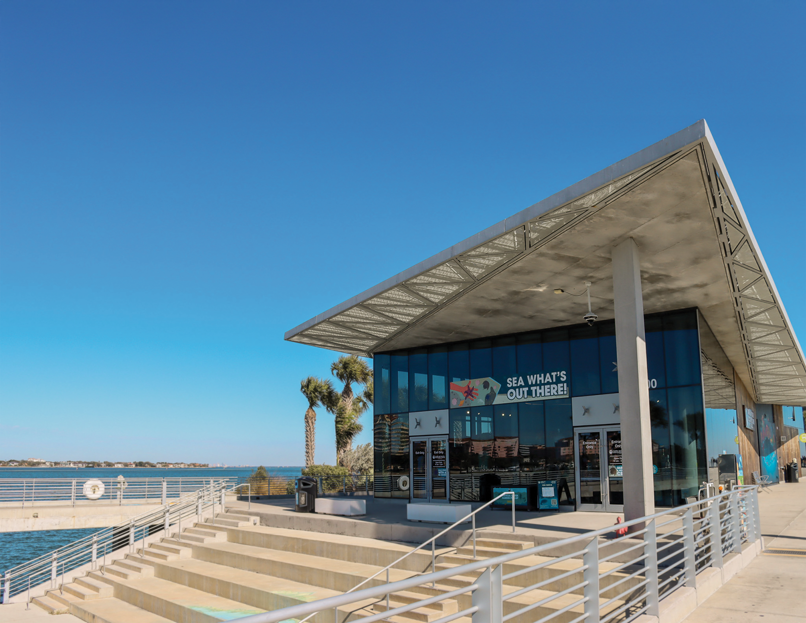 Tampa Bay Watch Discovery Center for education and volunteering in florida