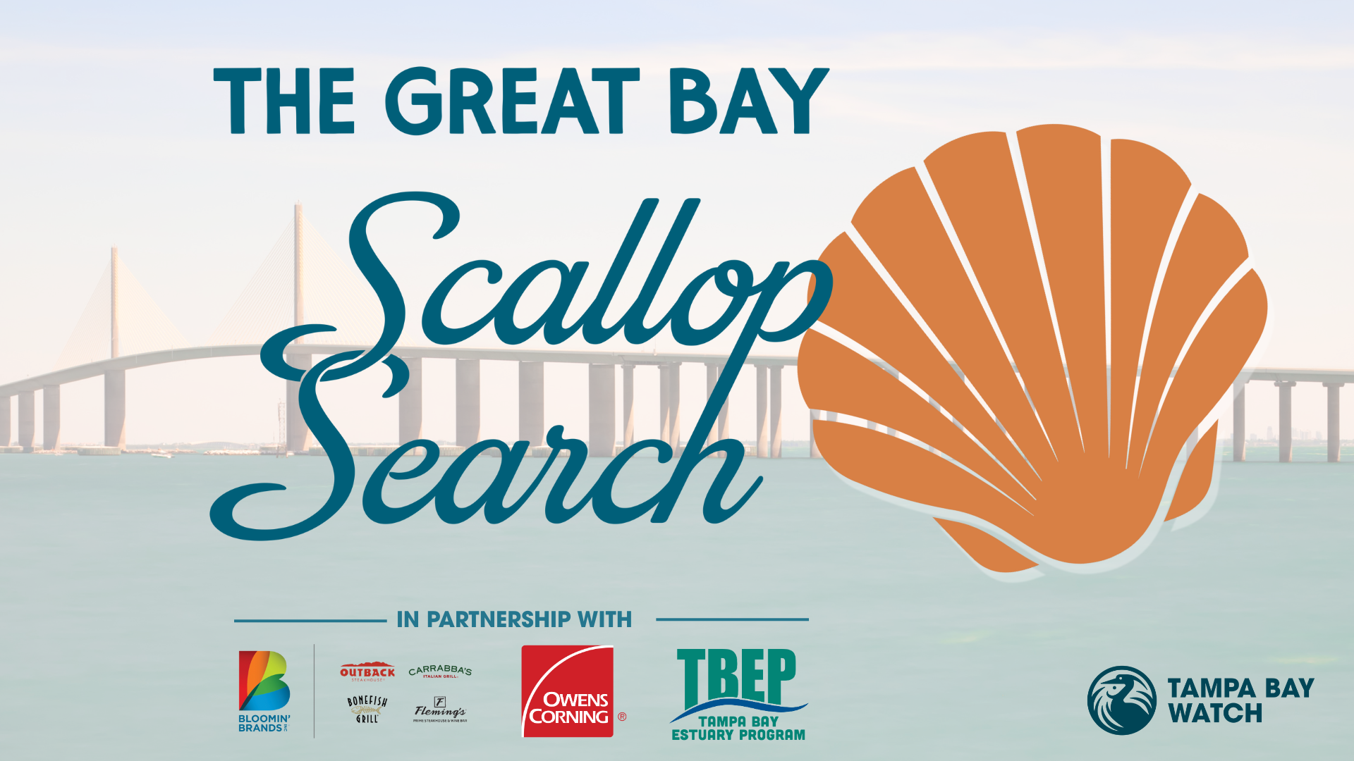 An image promoting scallop search with 'The Great Bay Scallop Search' text, featuring a scallop shell graphic, a background of a bridge over water, and logos of partners including Tampa Bay Watch, Bloomin' Brands, Outback Steakhouse, Carrabba's, Bonefish Grill, Fleming's, Owens Corning, and Tampa Bay Estuary Program.