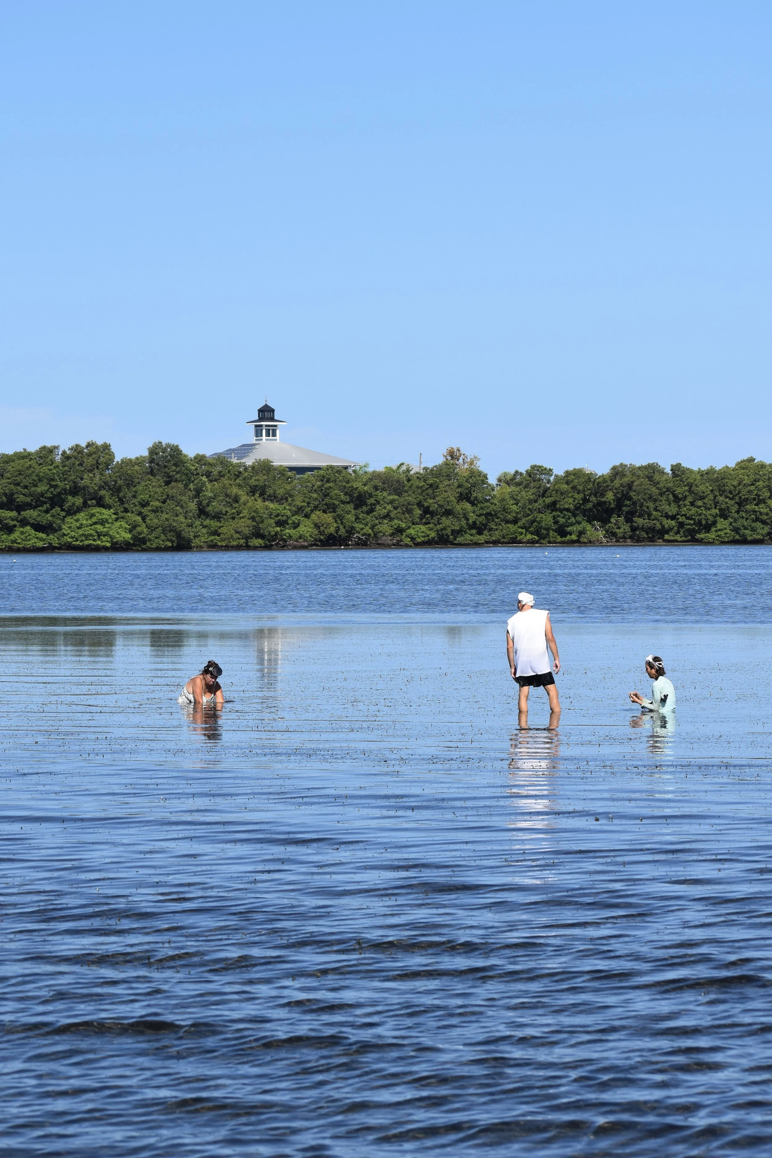 Skyway Bridge during scallop search