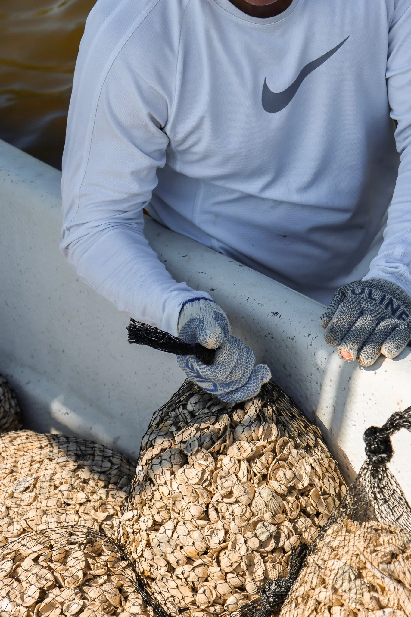 Ways to give back and volunteer in Florida, Using recycled oyster shells for conservation efforts