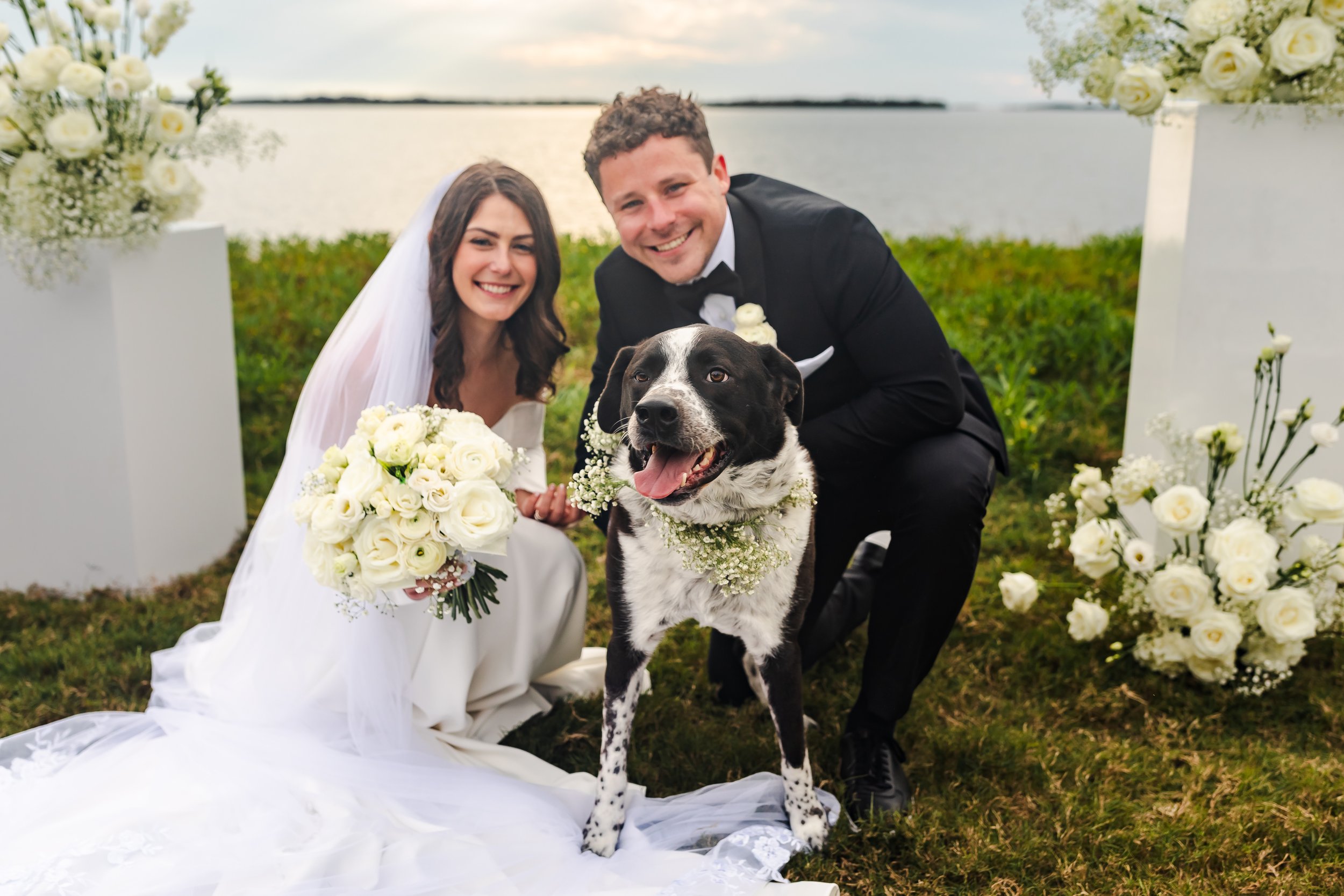 Alexandra & Hank Wedding Gallery-396.jpg