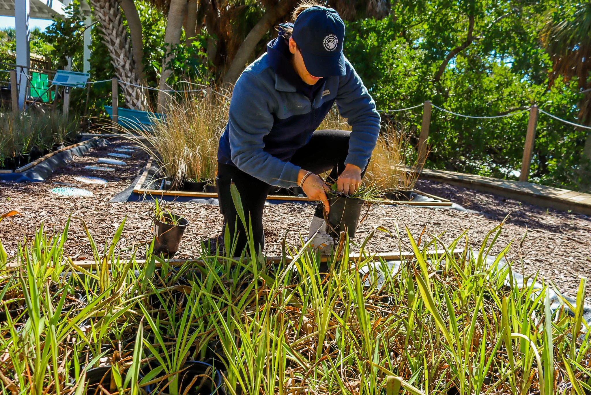 FLORIDA NATIVE PLANT NURSERY