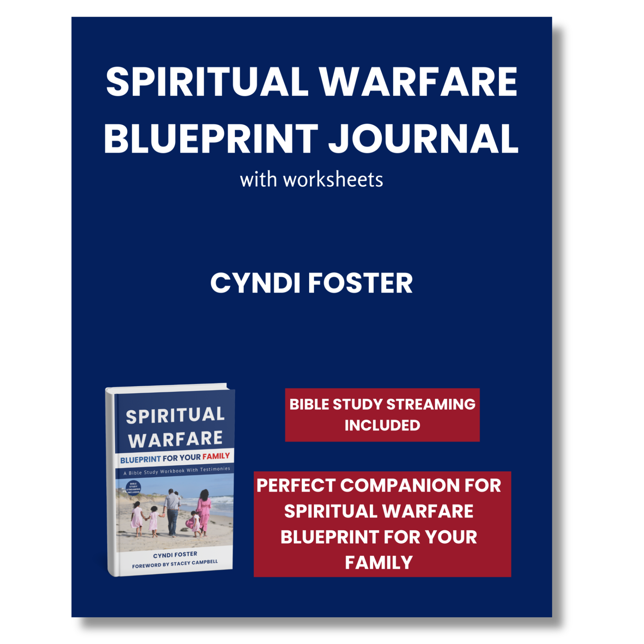 Spiritual Warfare Blueprint for Your Family Companion Journal by Cyndi Foster