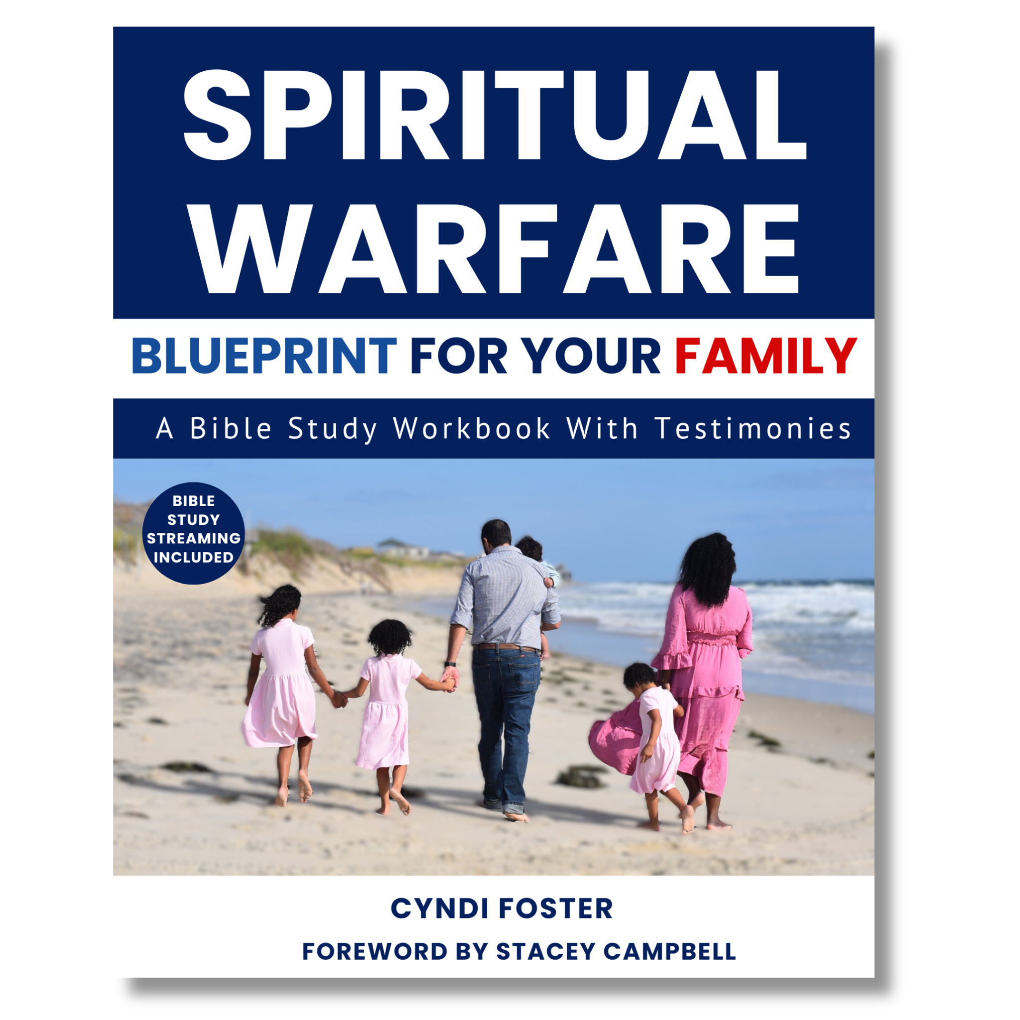 Spiritual Warfare Blueprint for Your Family Bible Study Workbook by Cyndi Foster