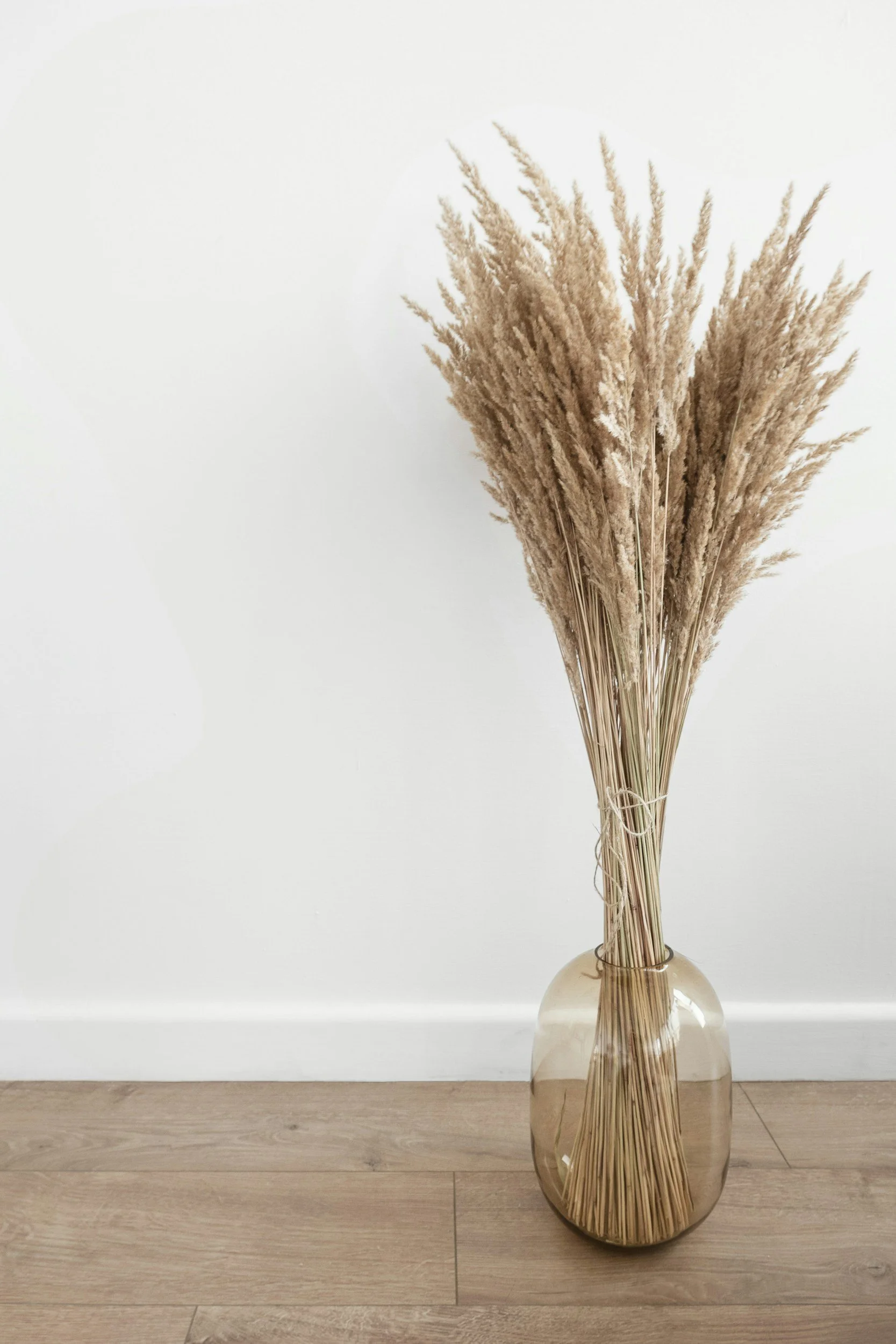A clear glass vase holding a bundle of beige-colored dried pampas grass on a wooden floor near a white wall.