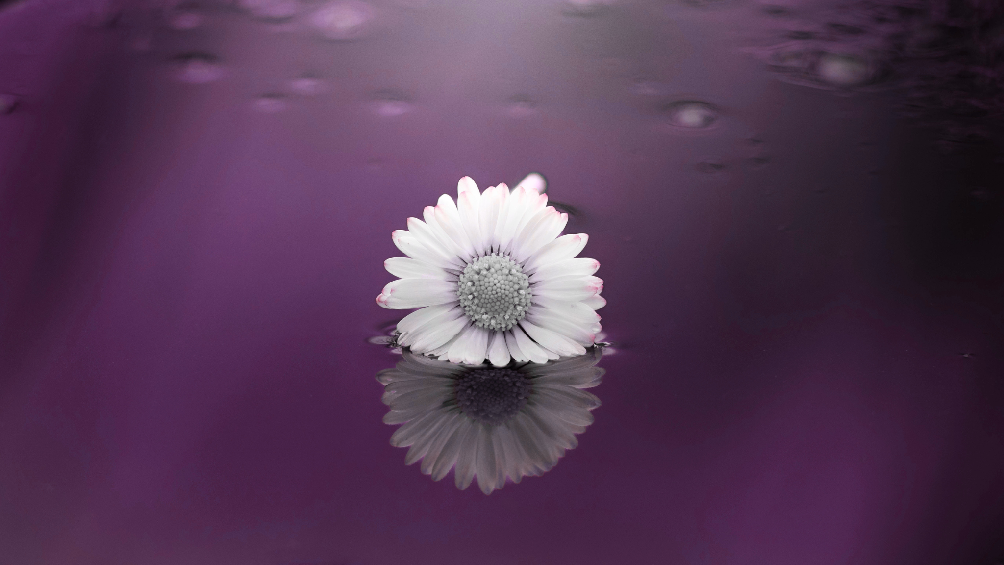 Understanding Grief to Build More Human Care Systems