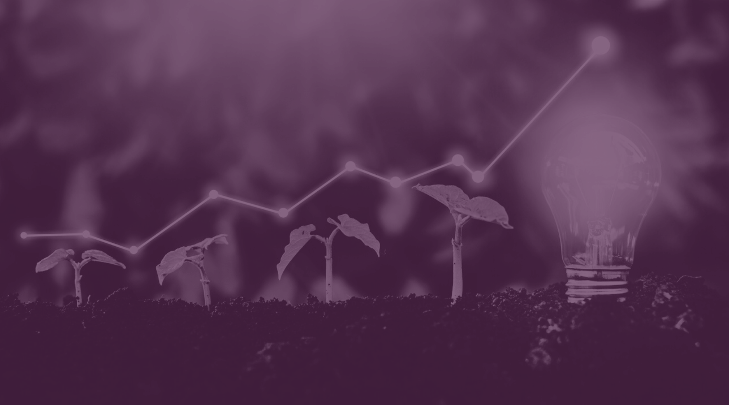 Building Social Enterprise and Diversified Revenue
