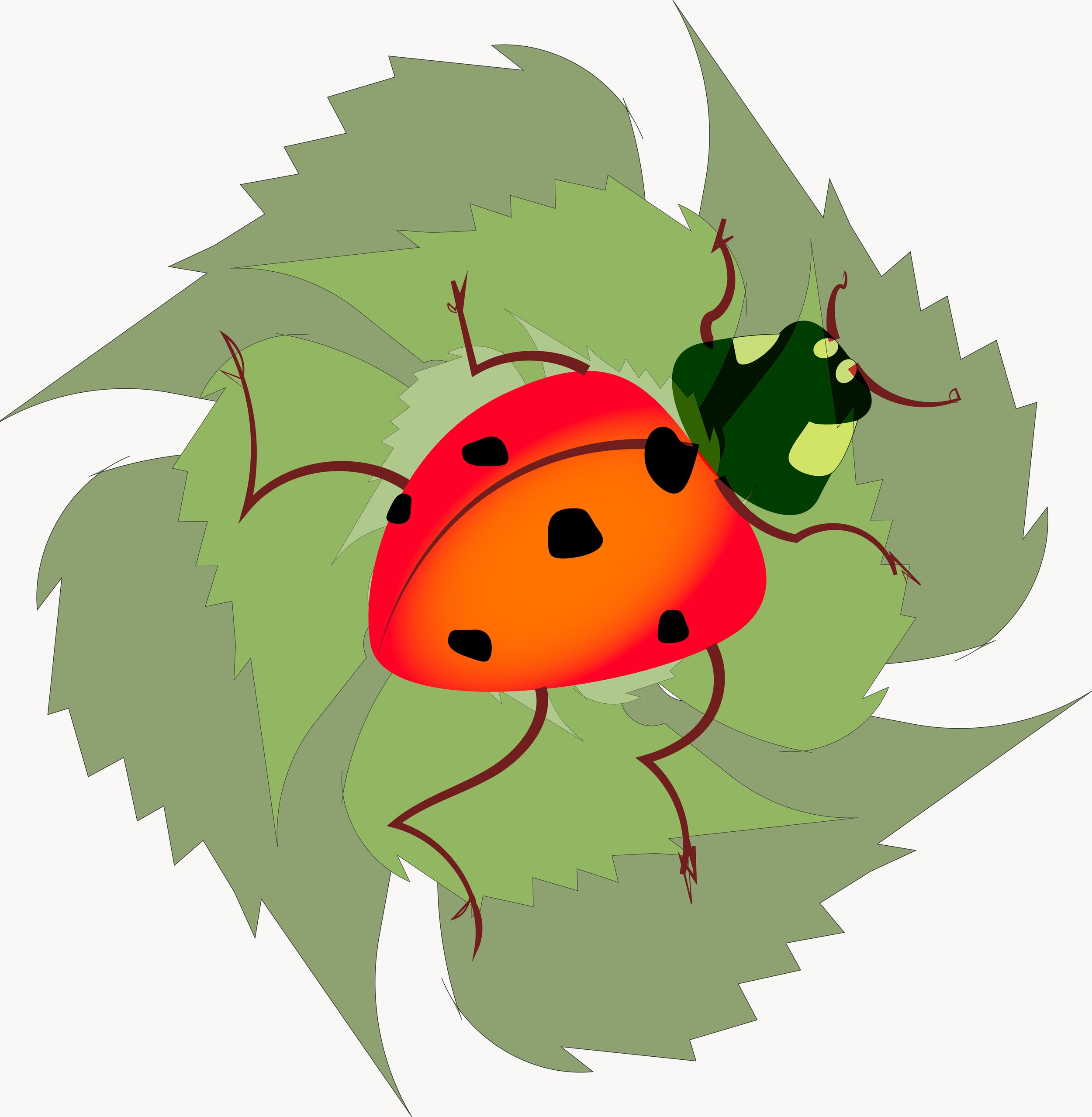 Rosy, the Lady Bug