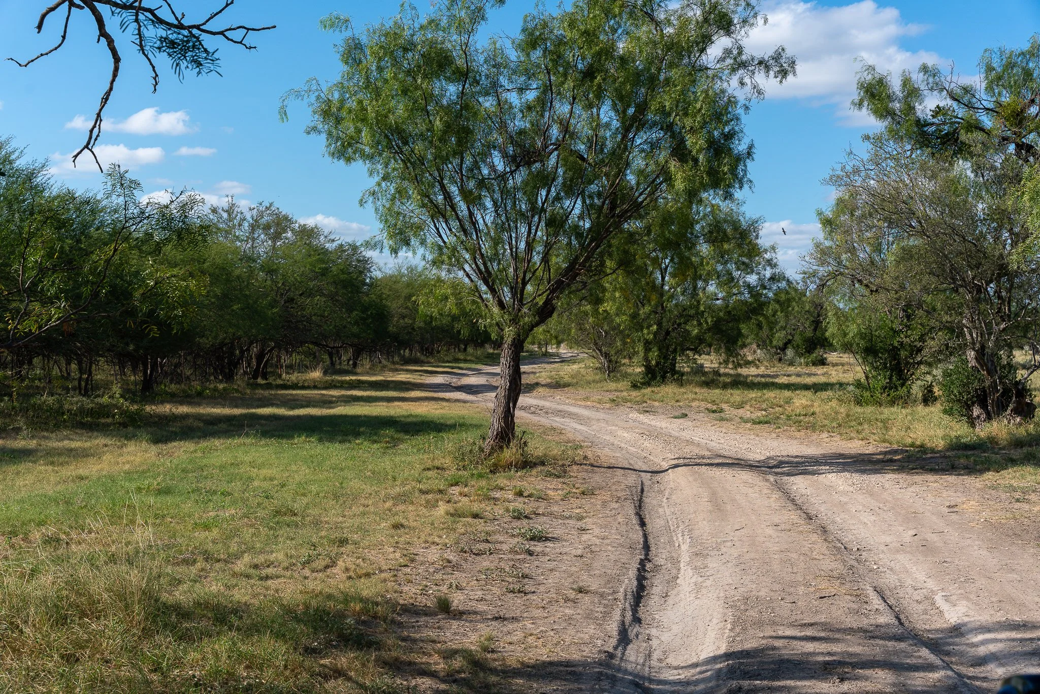 Blue_Rooster_Ranch-3.jpg