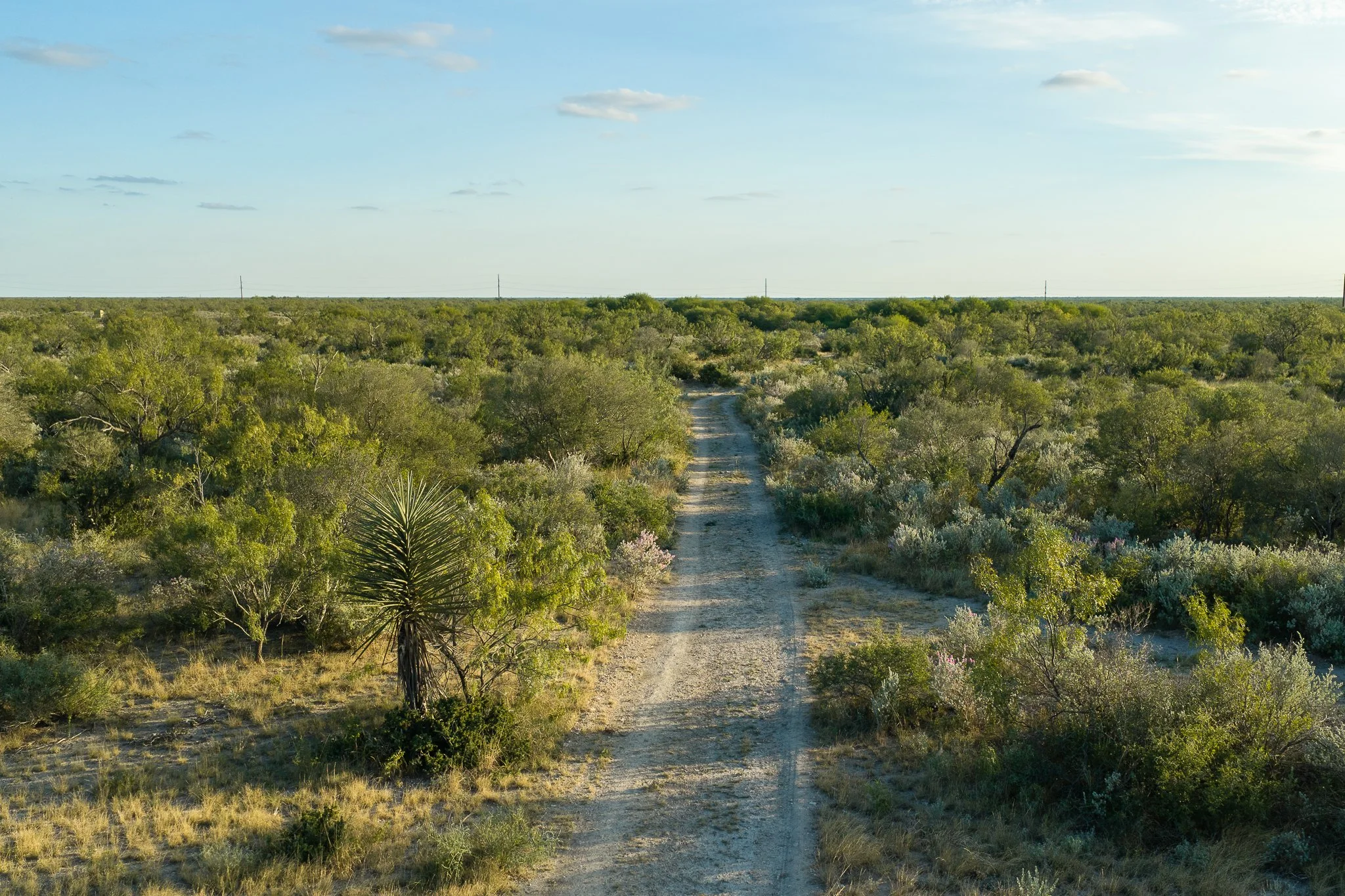Blue_Rooster_Ranch-53.jpg