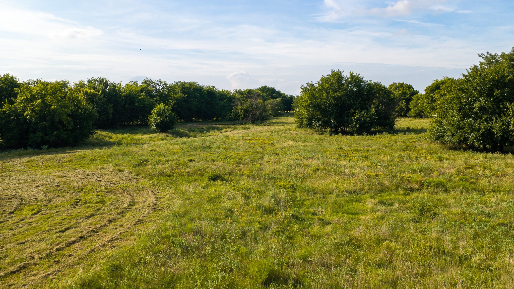 landscape-aerial-summerdale--31.jpg