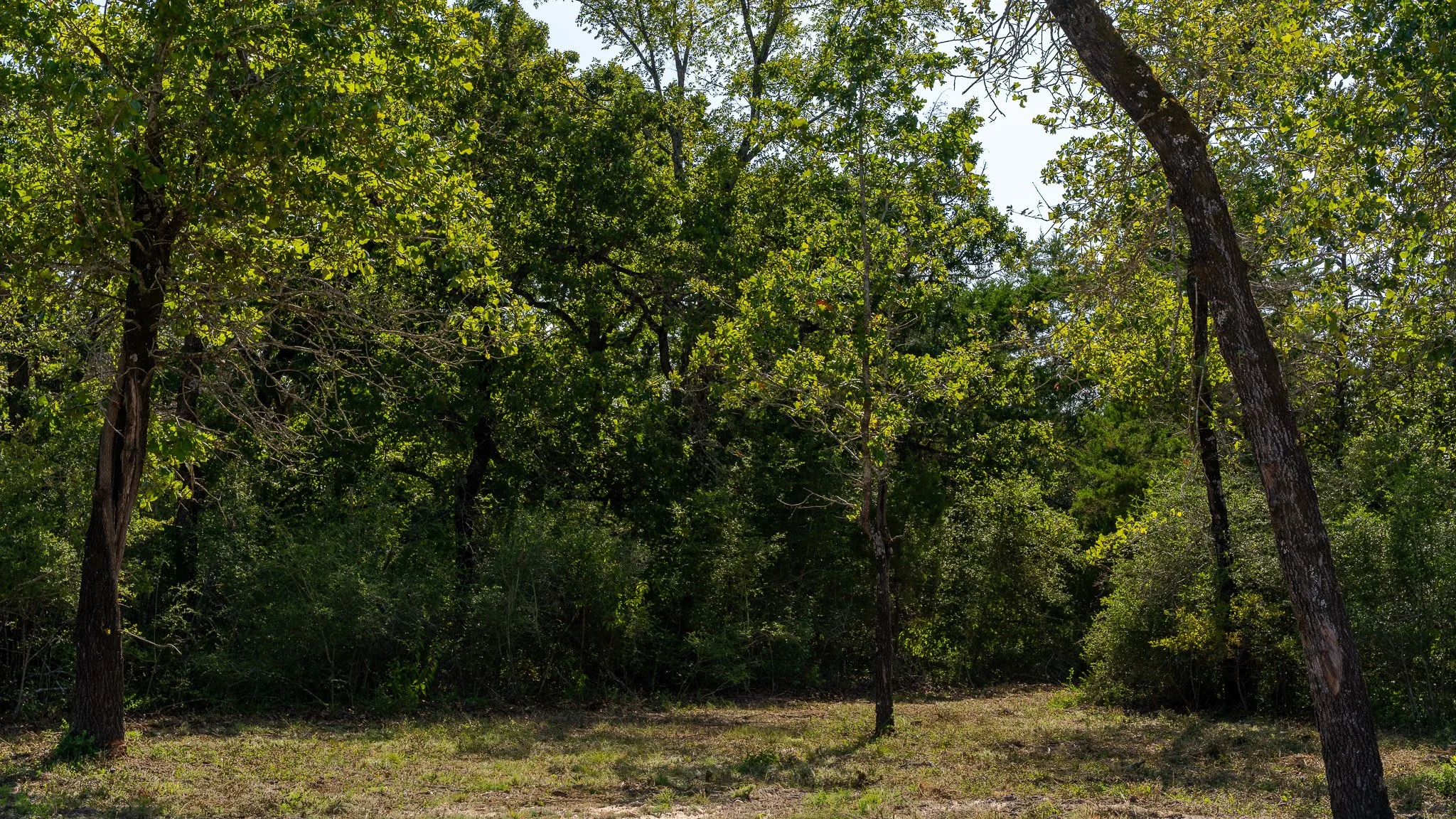 landscape-crestwood-34.jpg