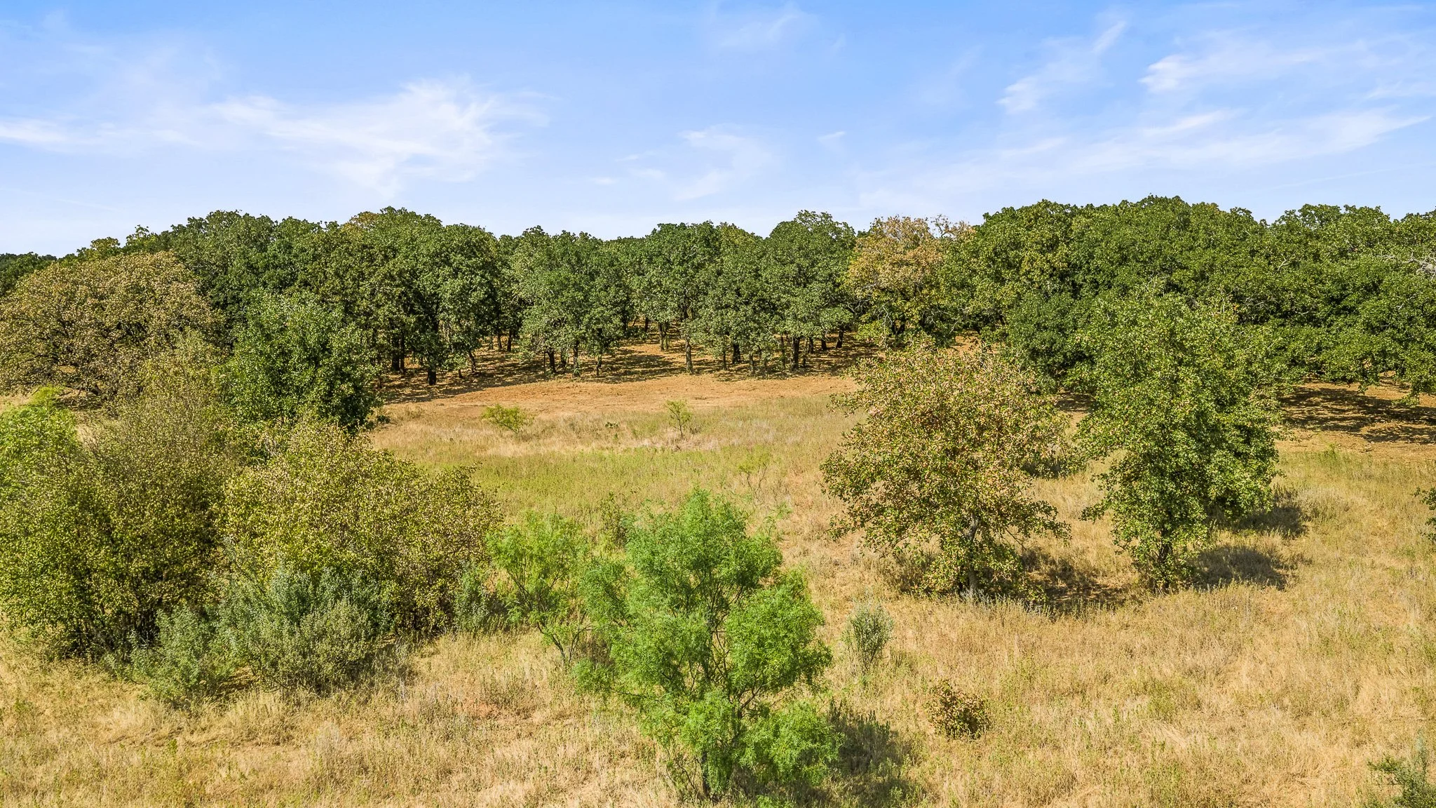 DJI_20260828154807_0338_D-Landscape.jpg