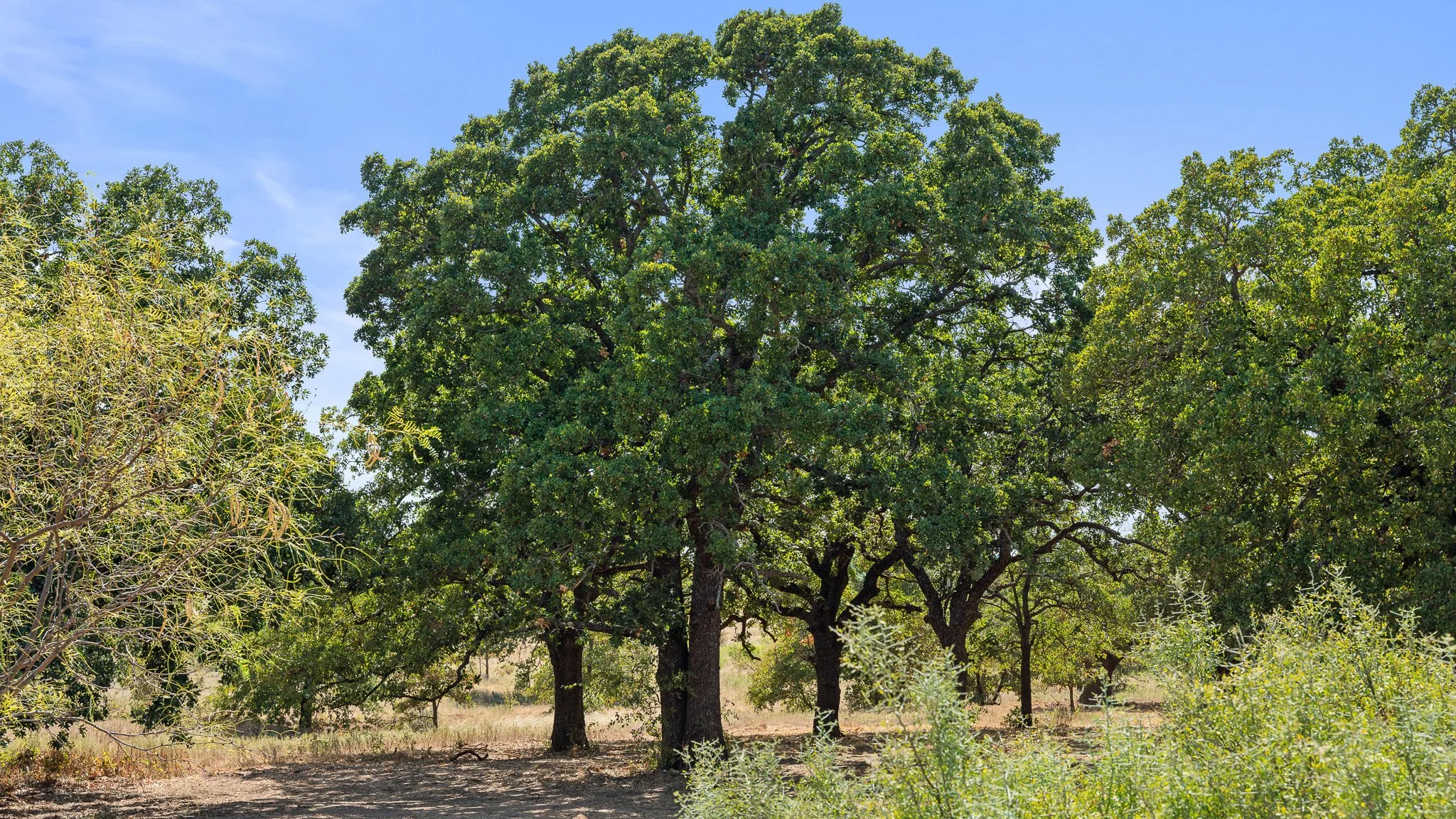 DSC09975-Landscape.jpg