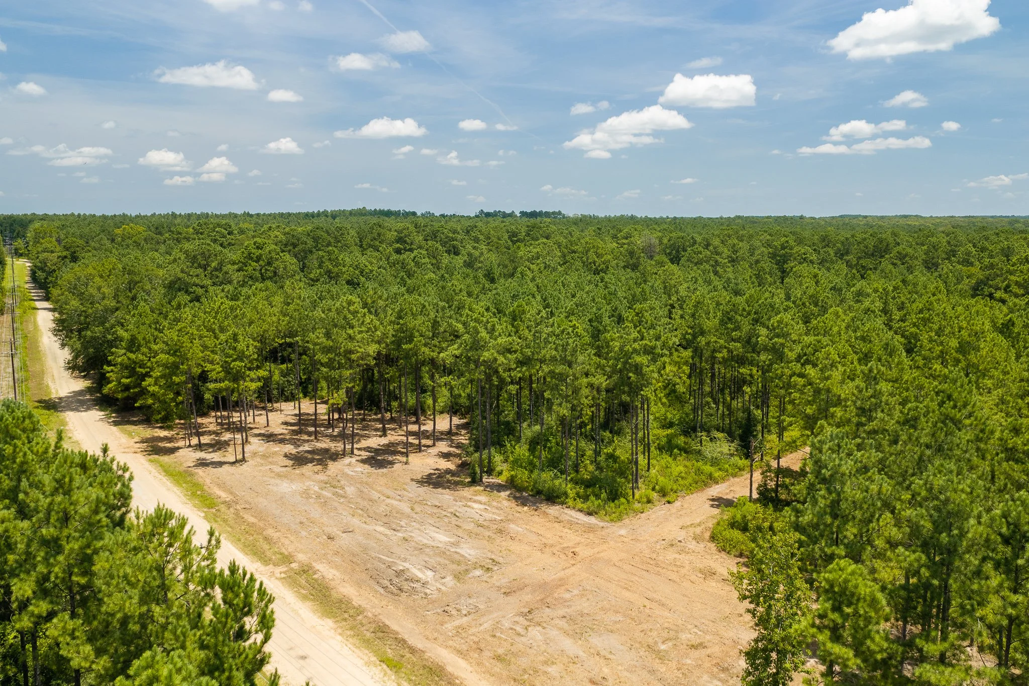 woodville-35.jpg