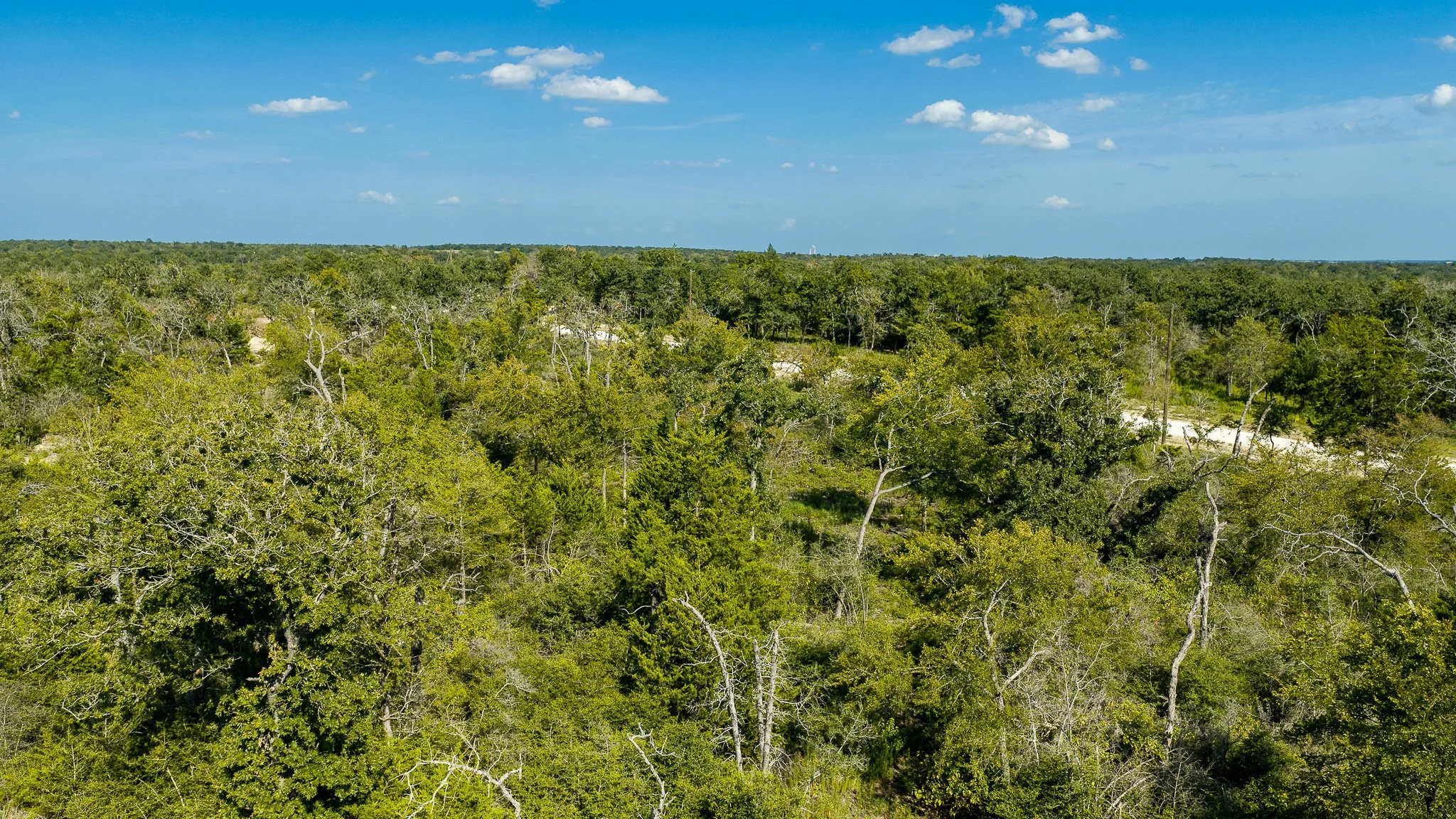 landscape-crestwood-19.jpg