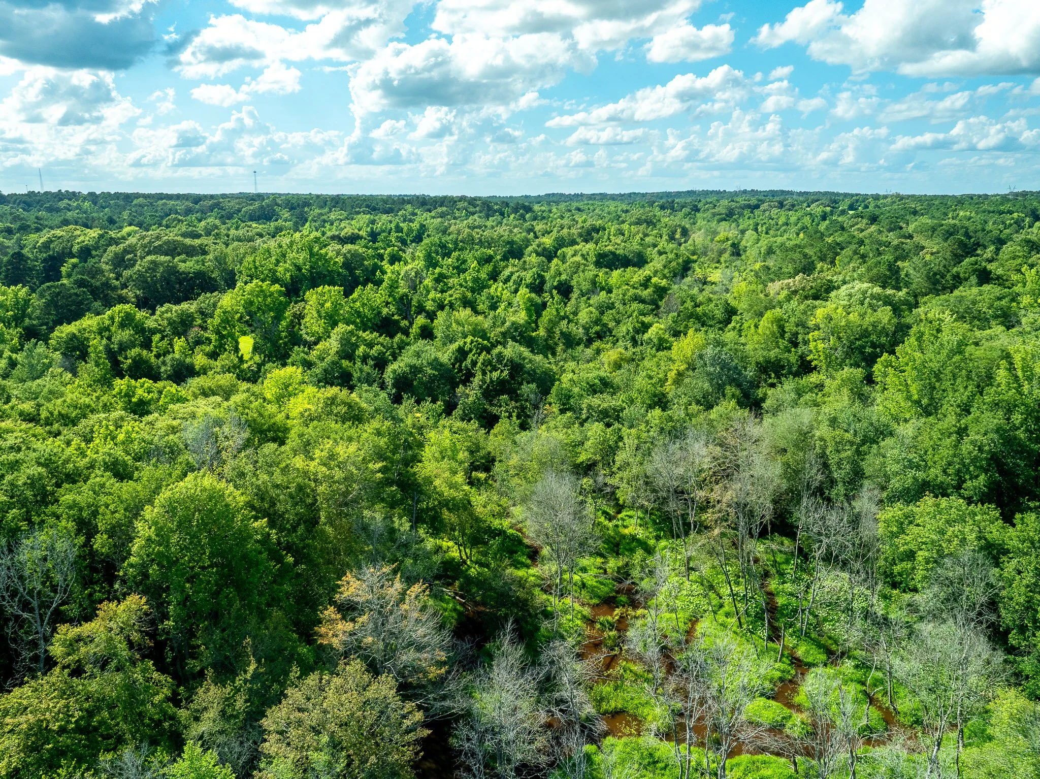 Tatum_Drone-14.jpg