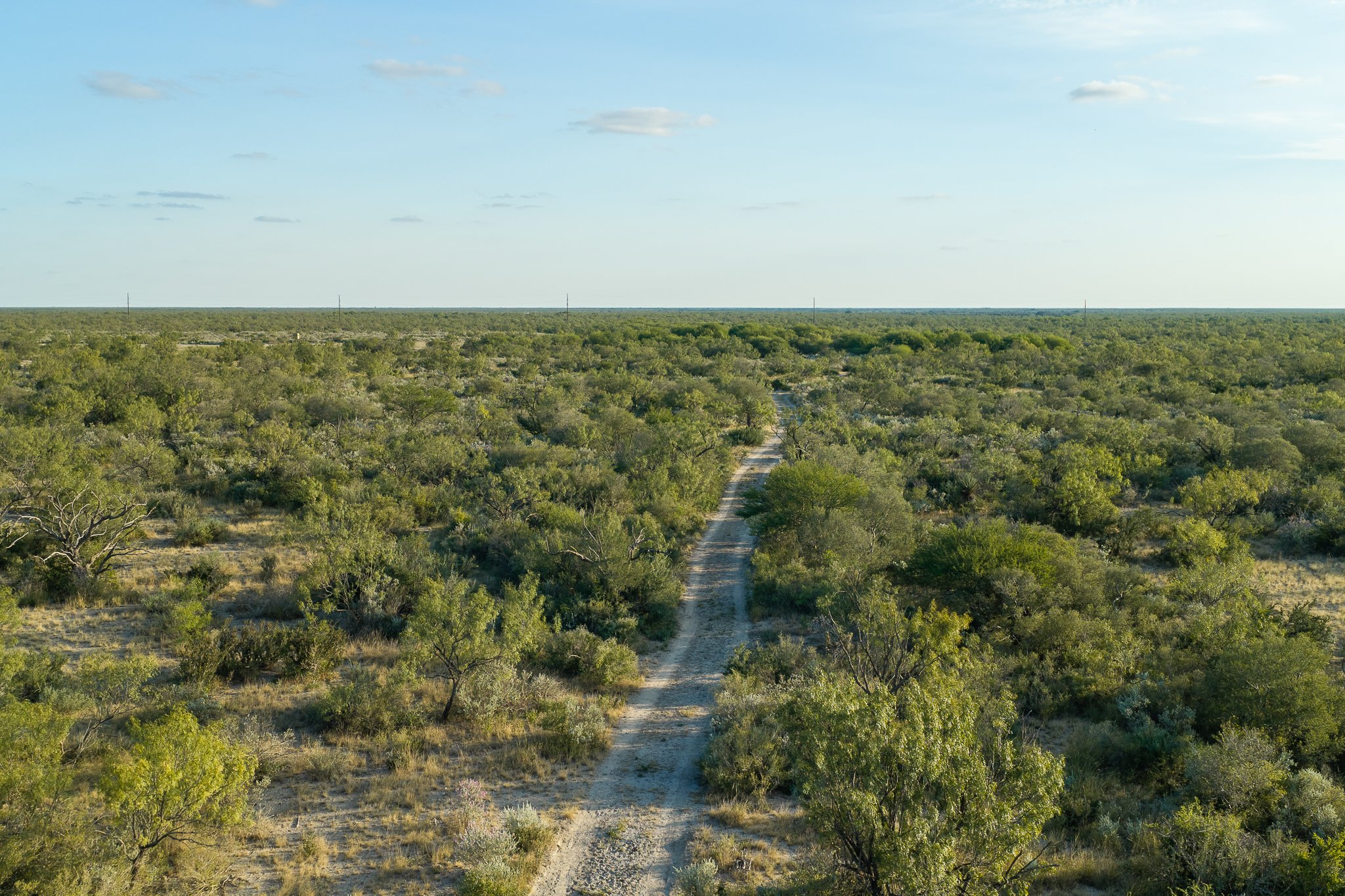 Blue_Rooster_Ranch-51.jpg