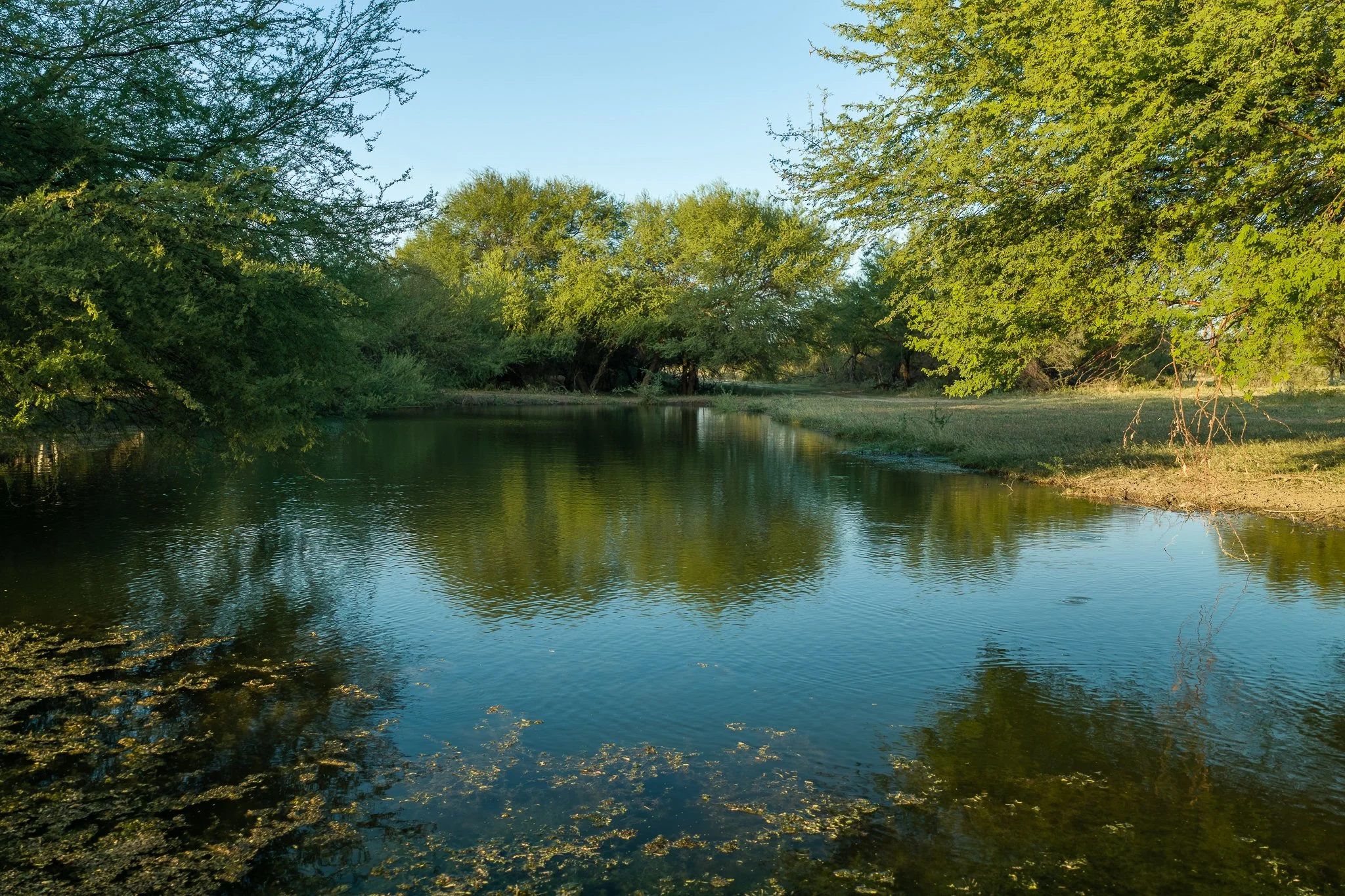 Blue_Rooster_Ranch-63.jpg