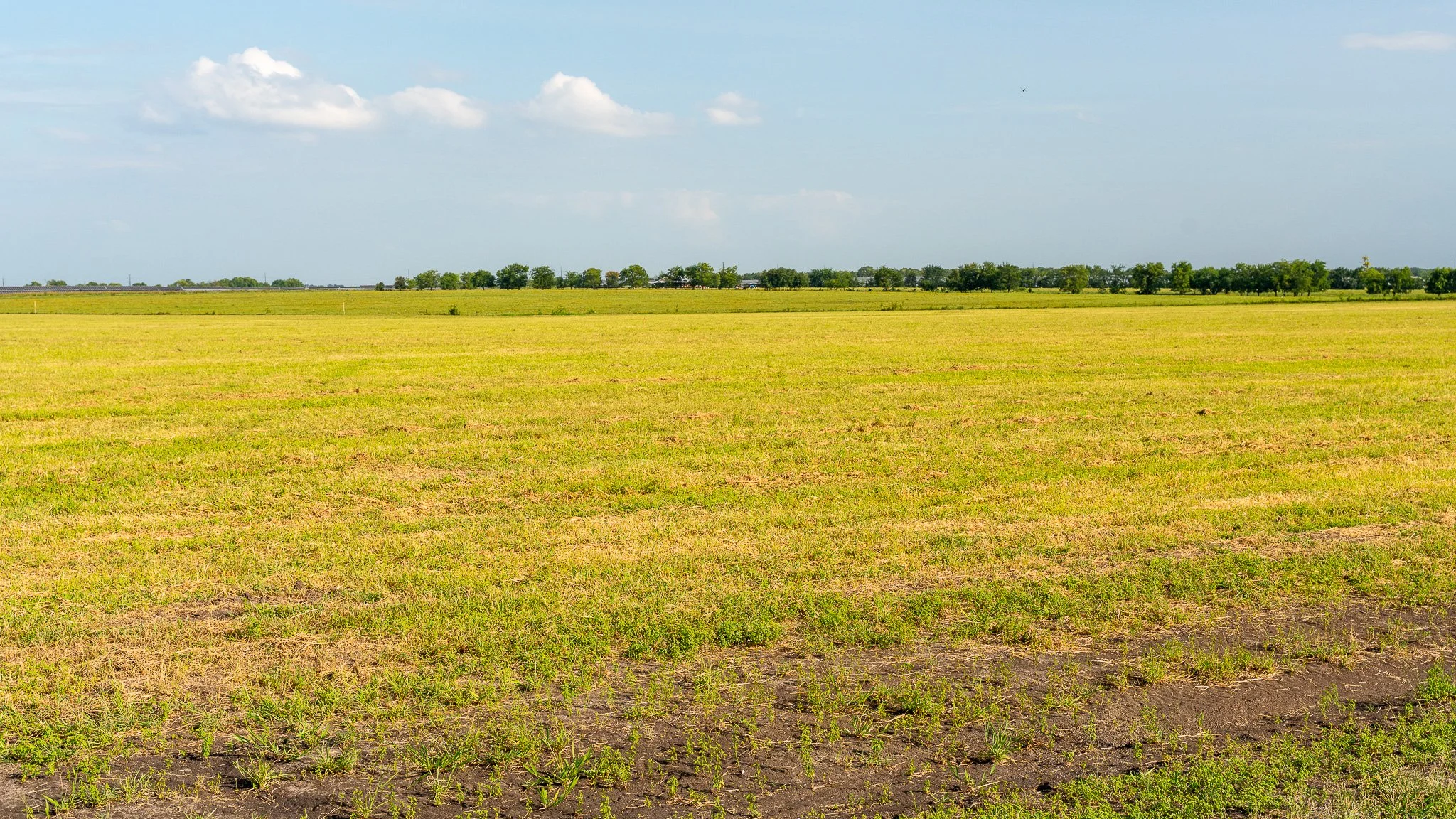 landscape-ground-summerdale-03021.jpg
