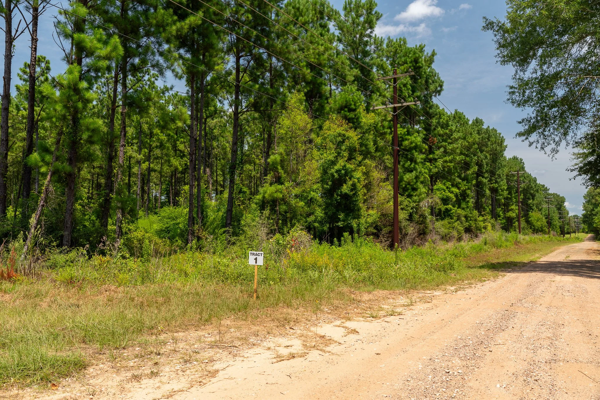 woodville-64.jpg