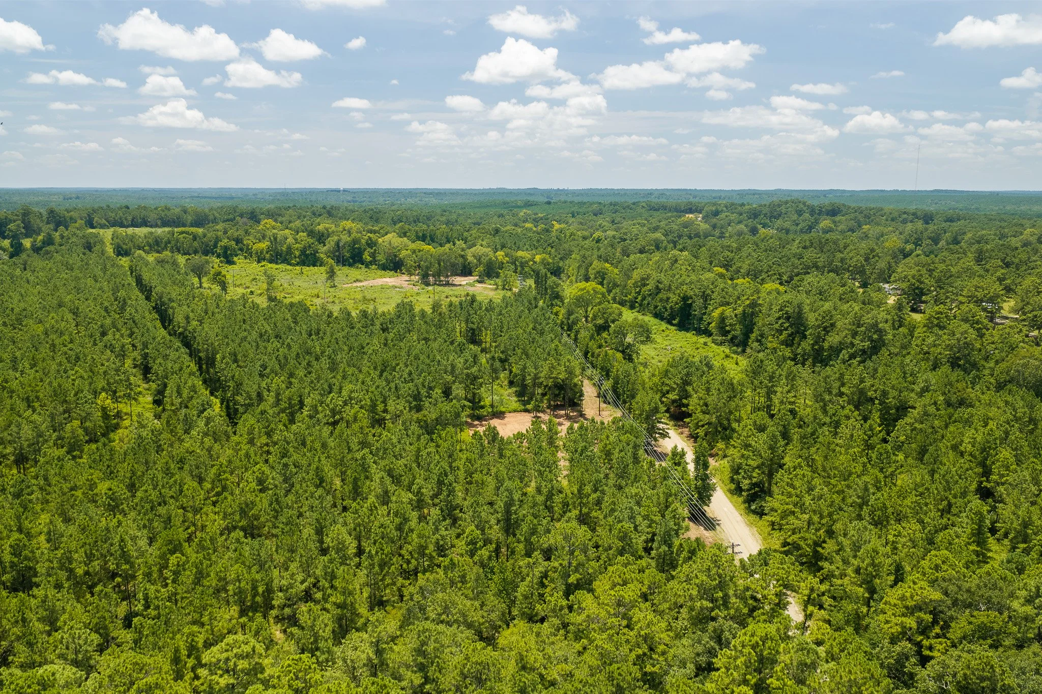 woodville-51.jpg