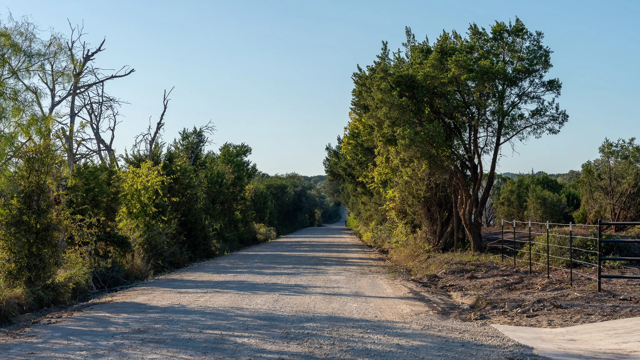 landscape-hamilton-15.jpg