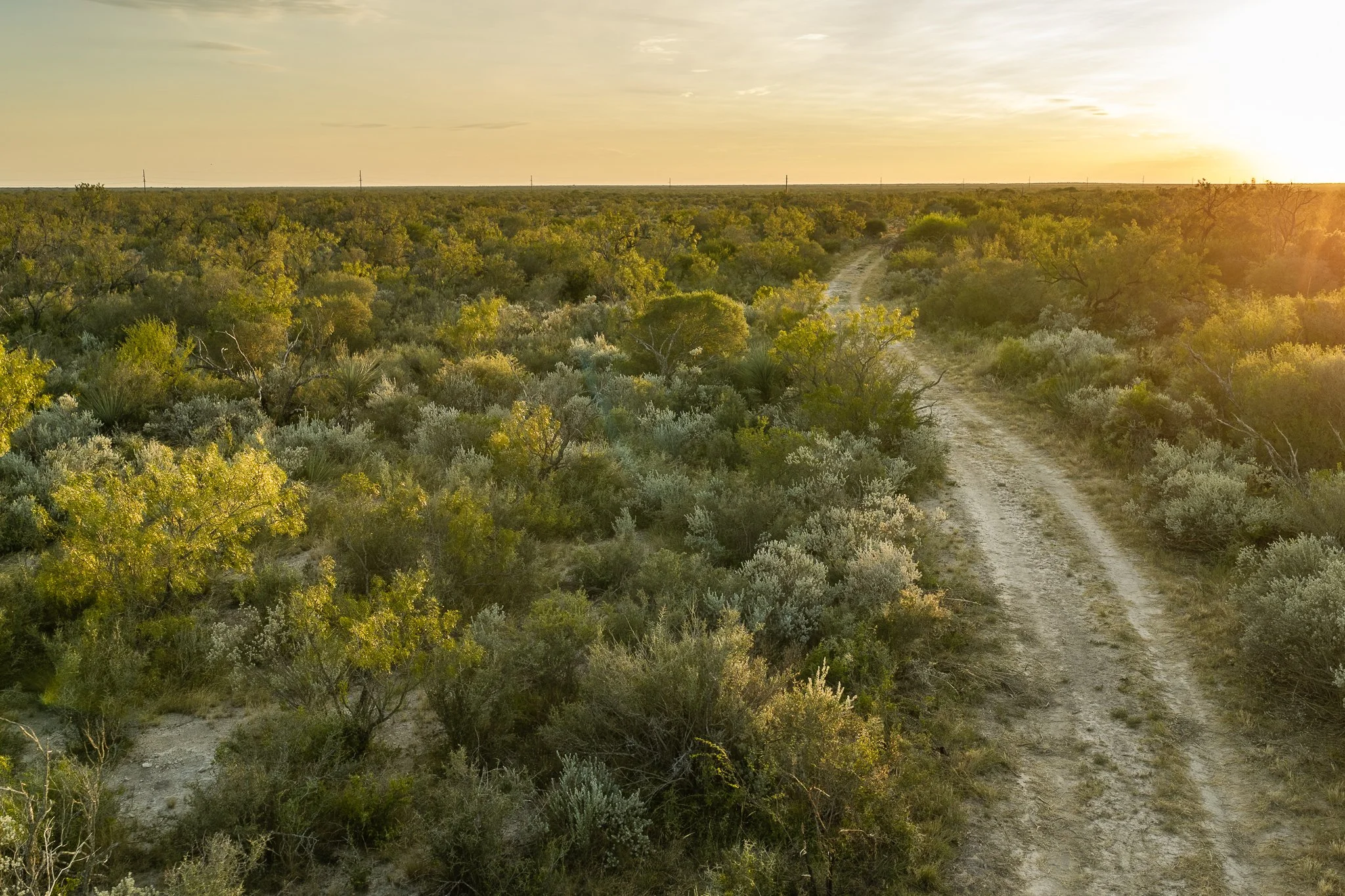 Blue_Rooster_Ranch-76.jpg
