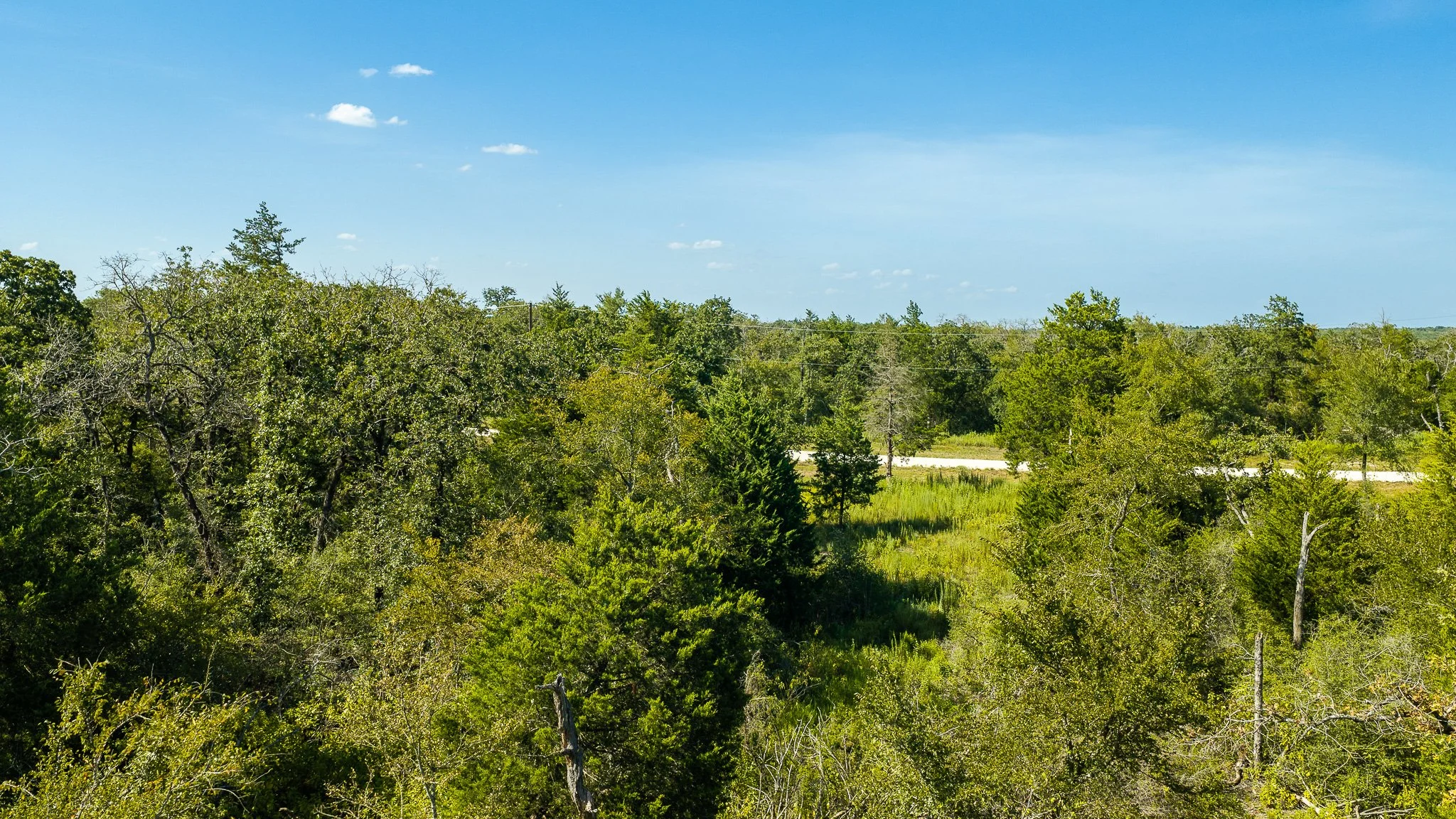 landscape-crestwood-13.jpg