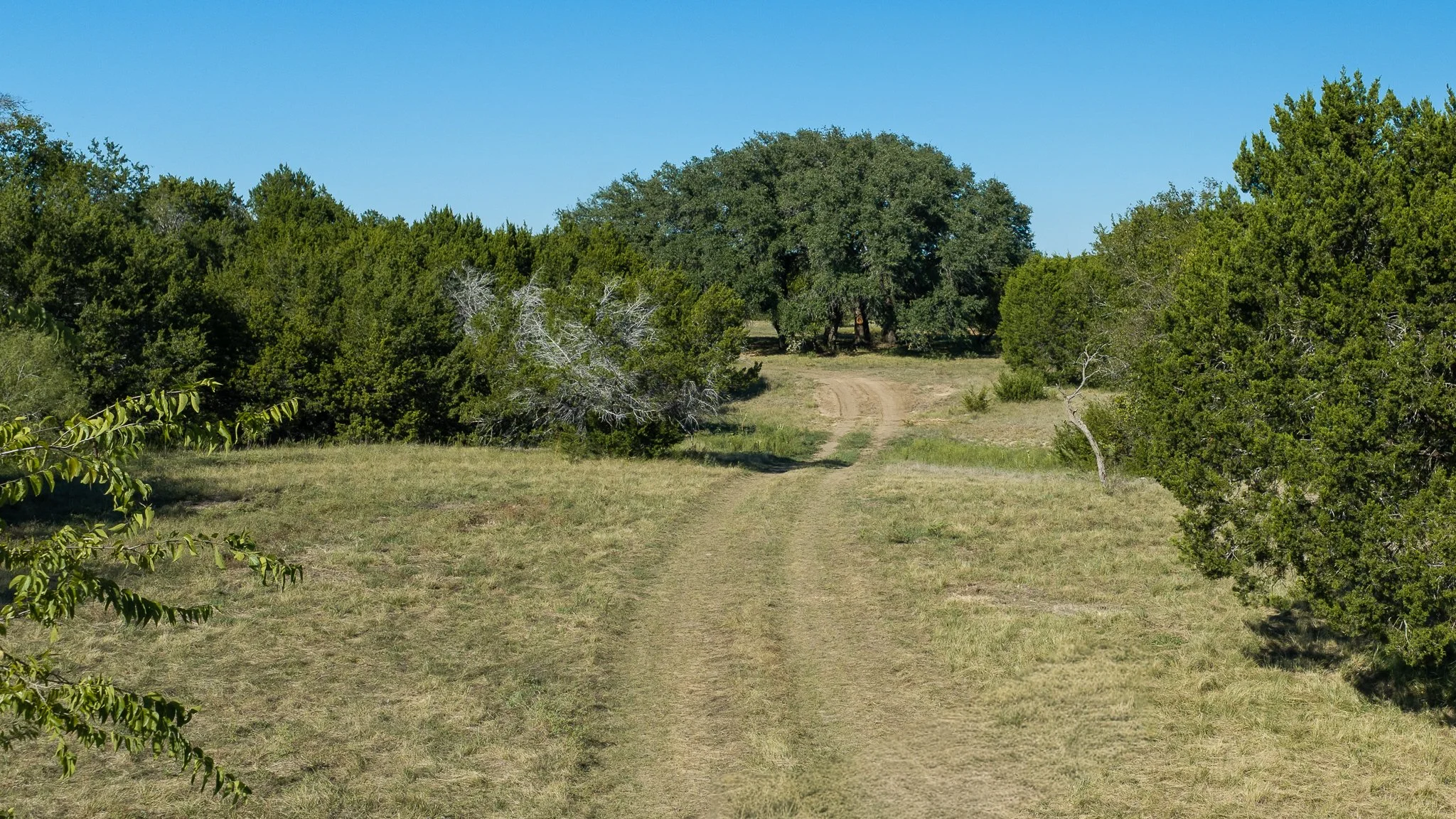 landscape-hamilton-22.jpg