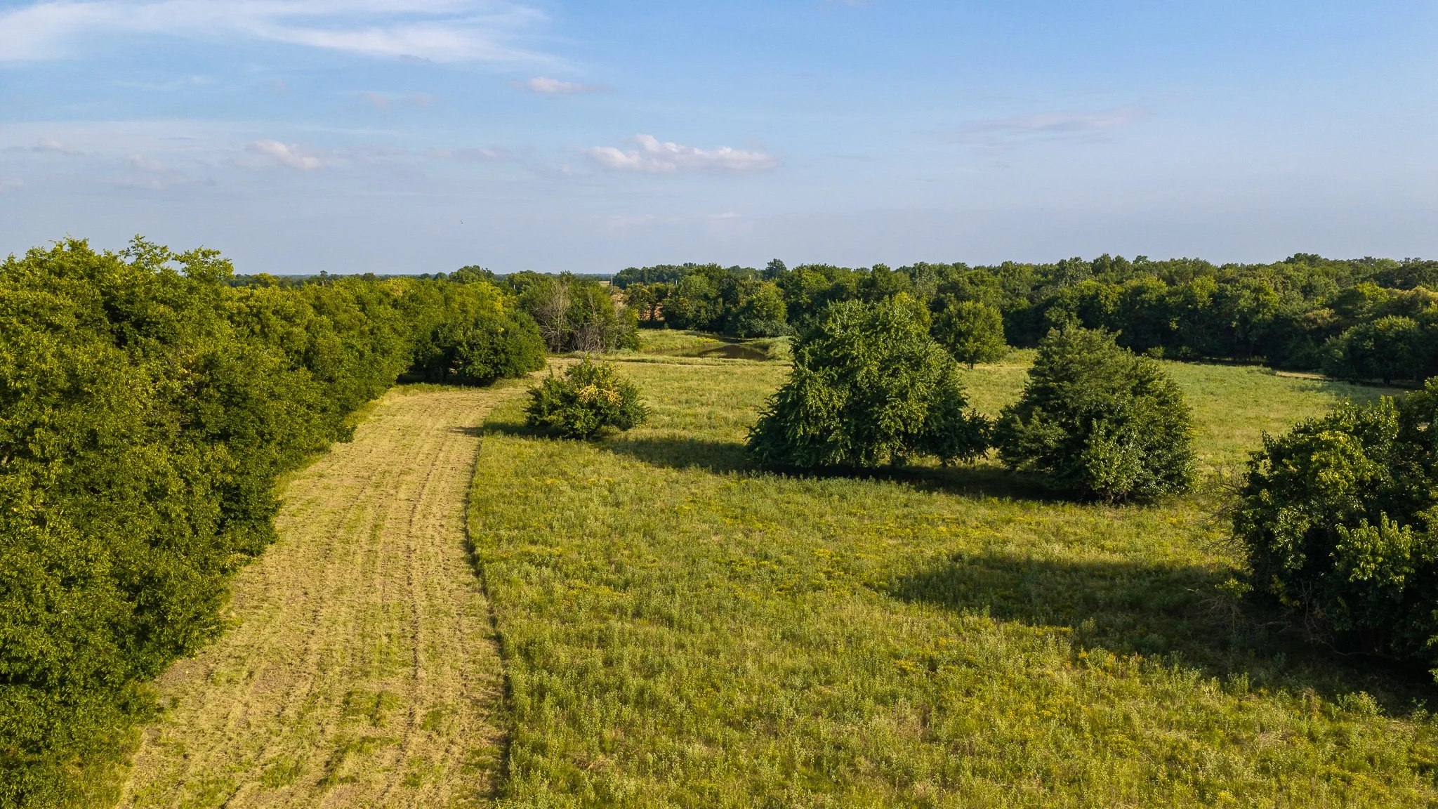 landscape-aerial-summerdale--27.jpg