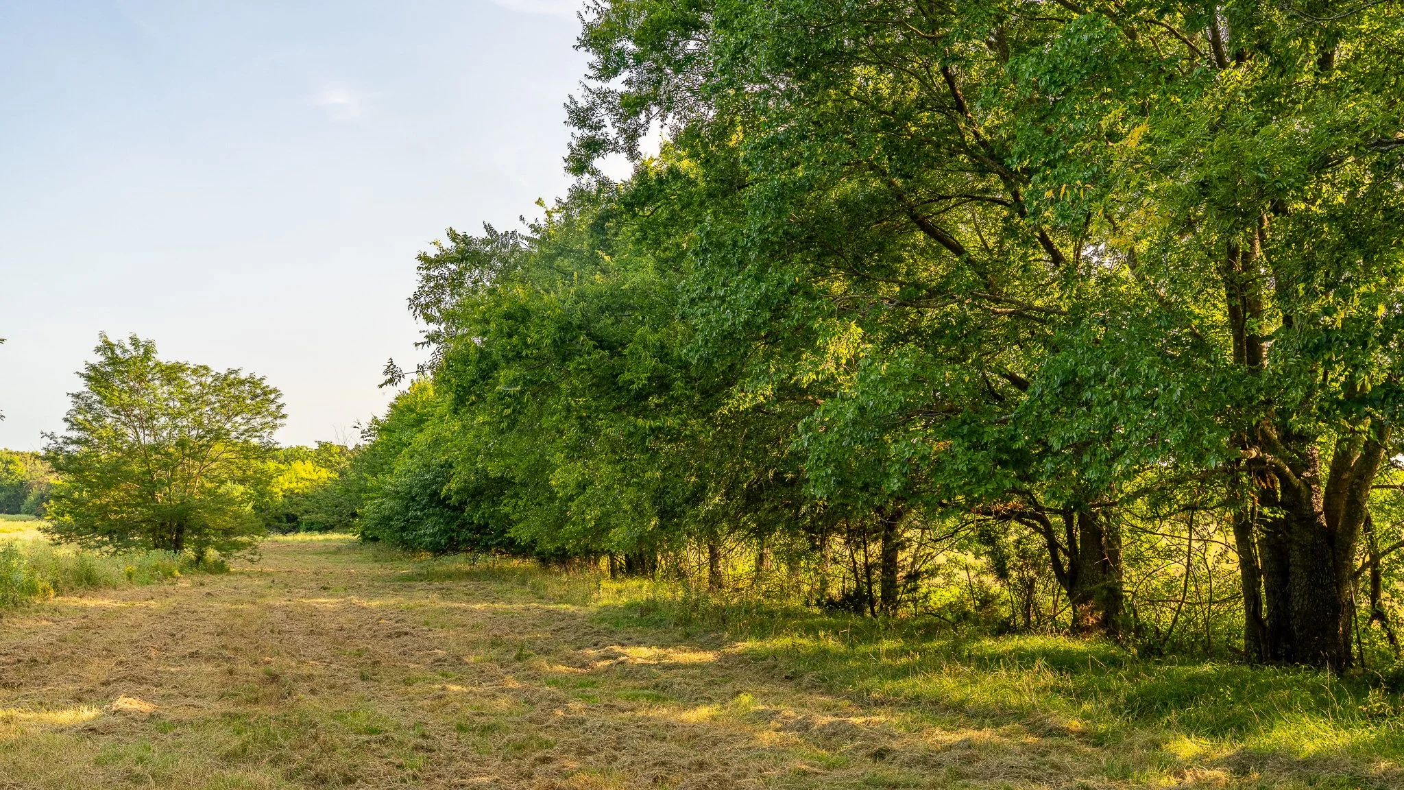 landscape-ground-summerdale--17.jpg