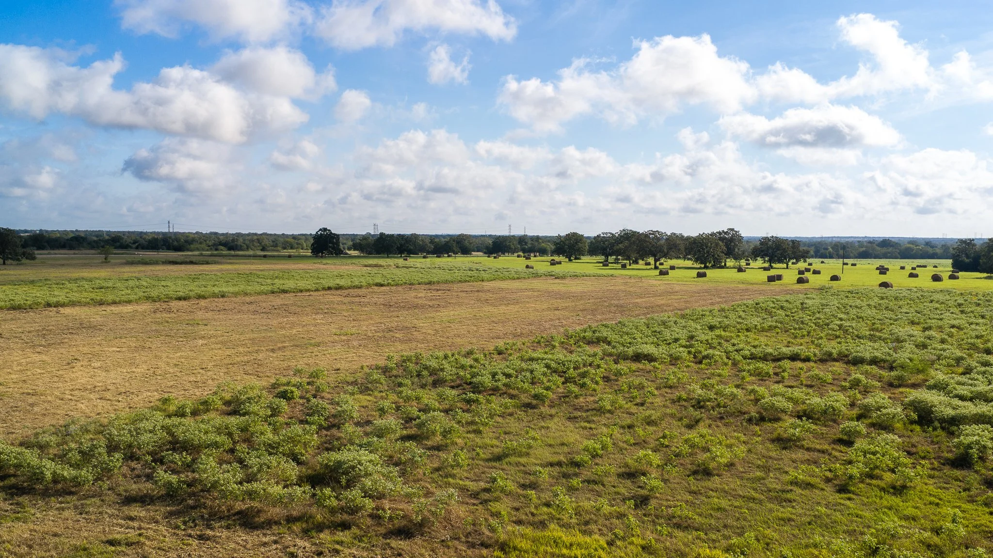 landscape-smithville-9.jpg