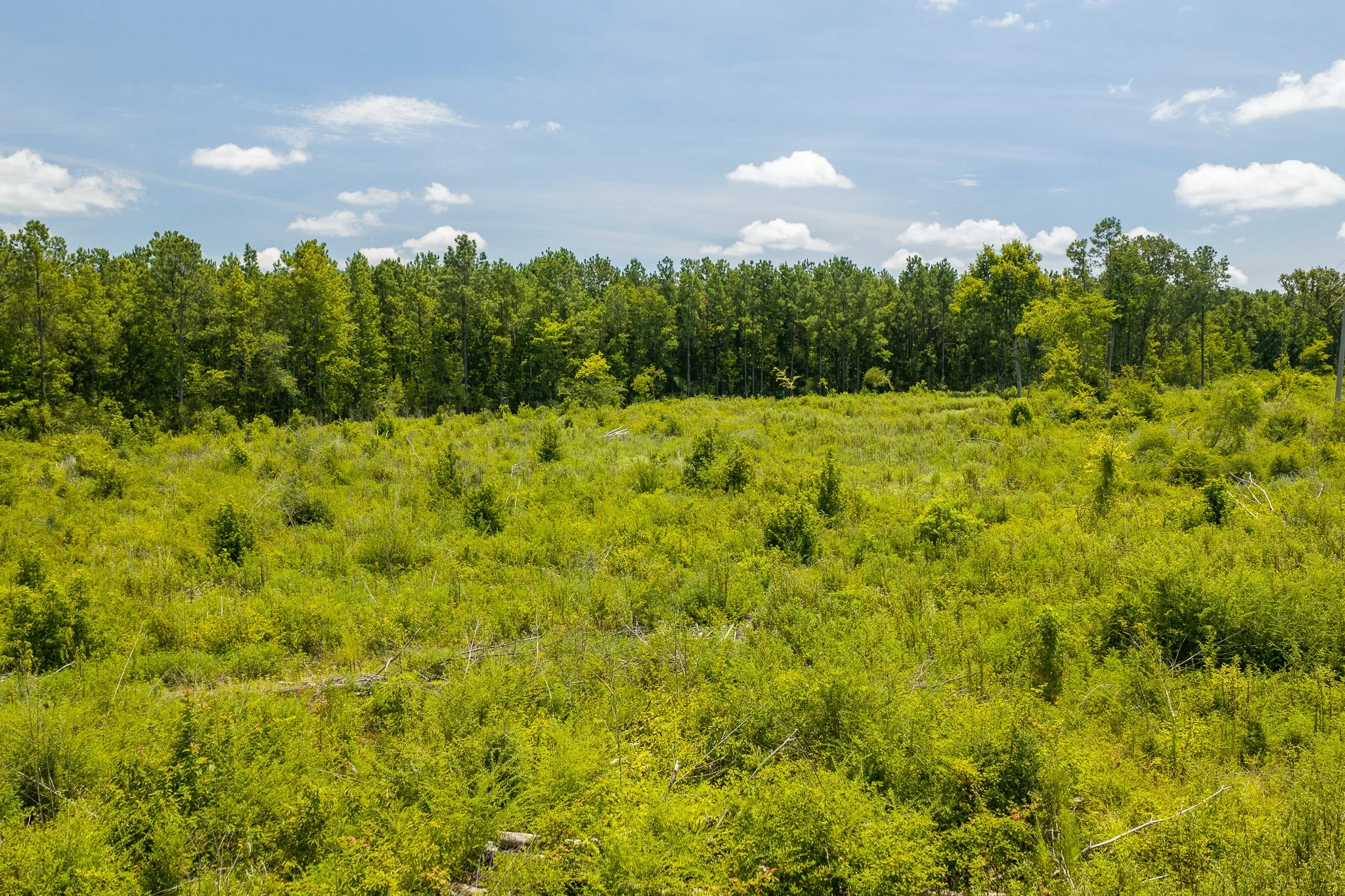 woodville-23.jpg