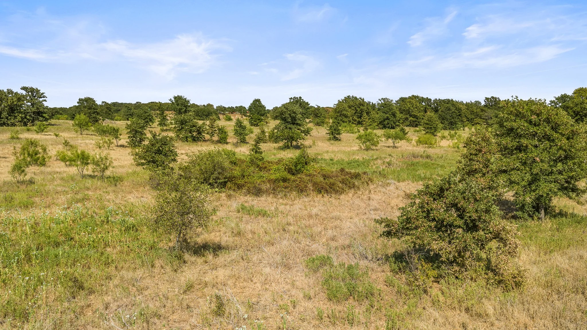 DJI_20260828162652_0389_D-Landscape.jpg