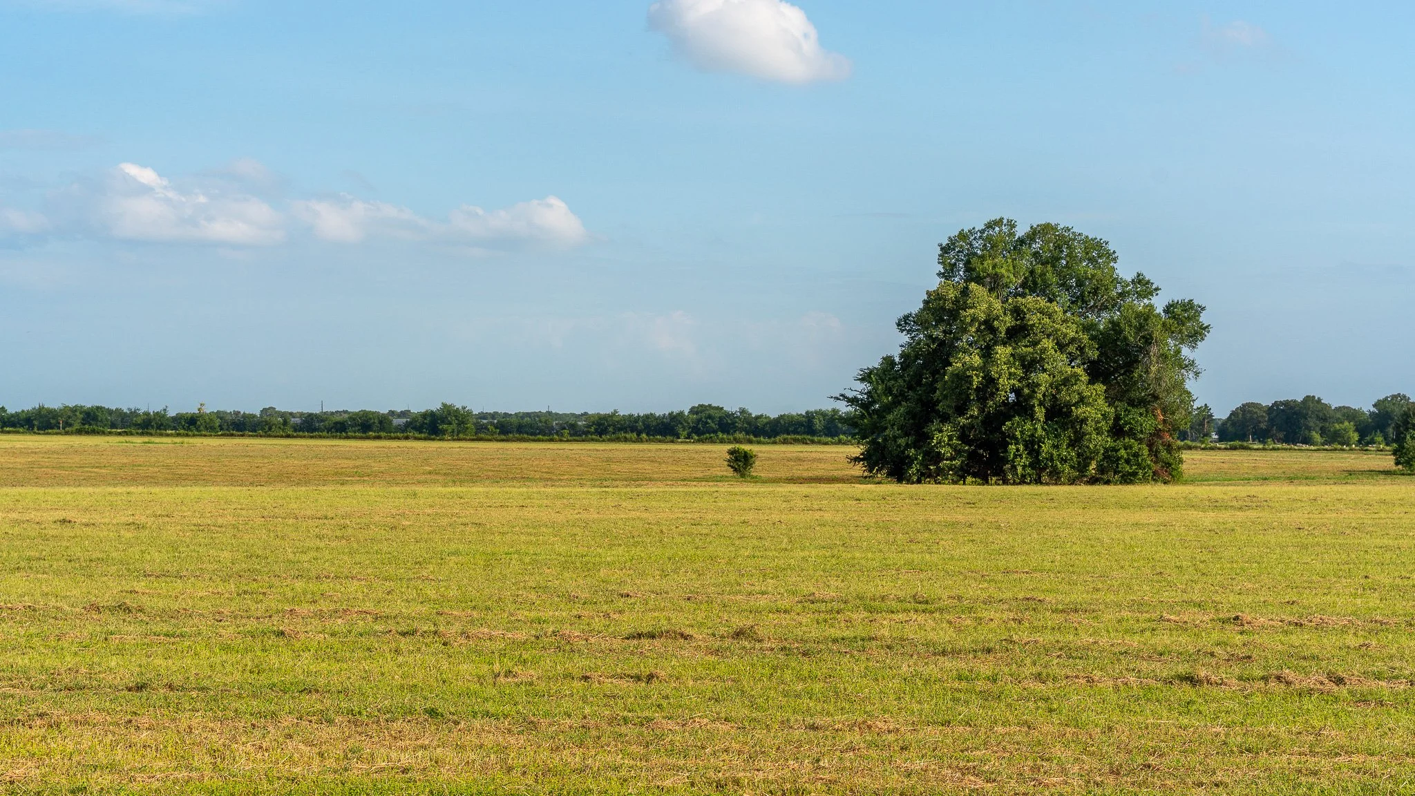 landscape-ground-summerdale-03009.jpg