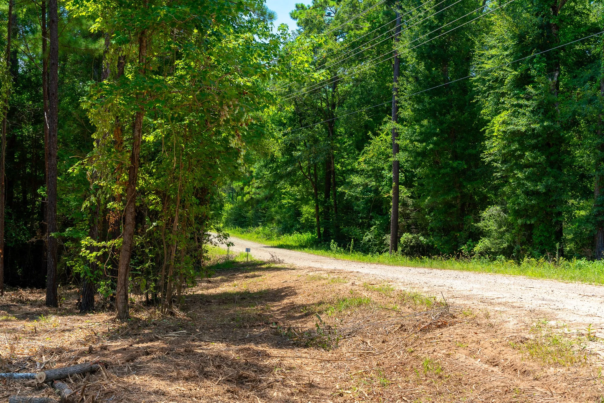 woodville-72.jpg