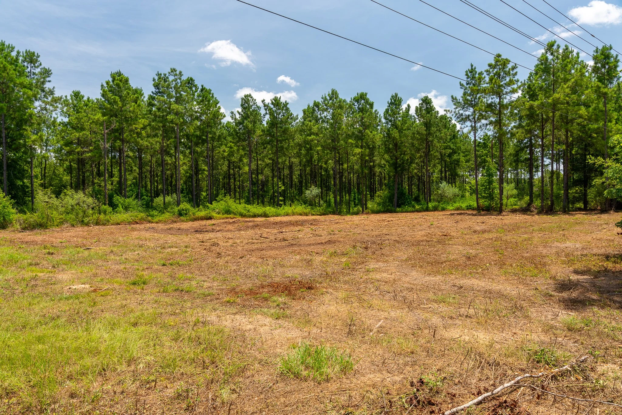 woodville-78.jpg