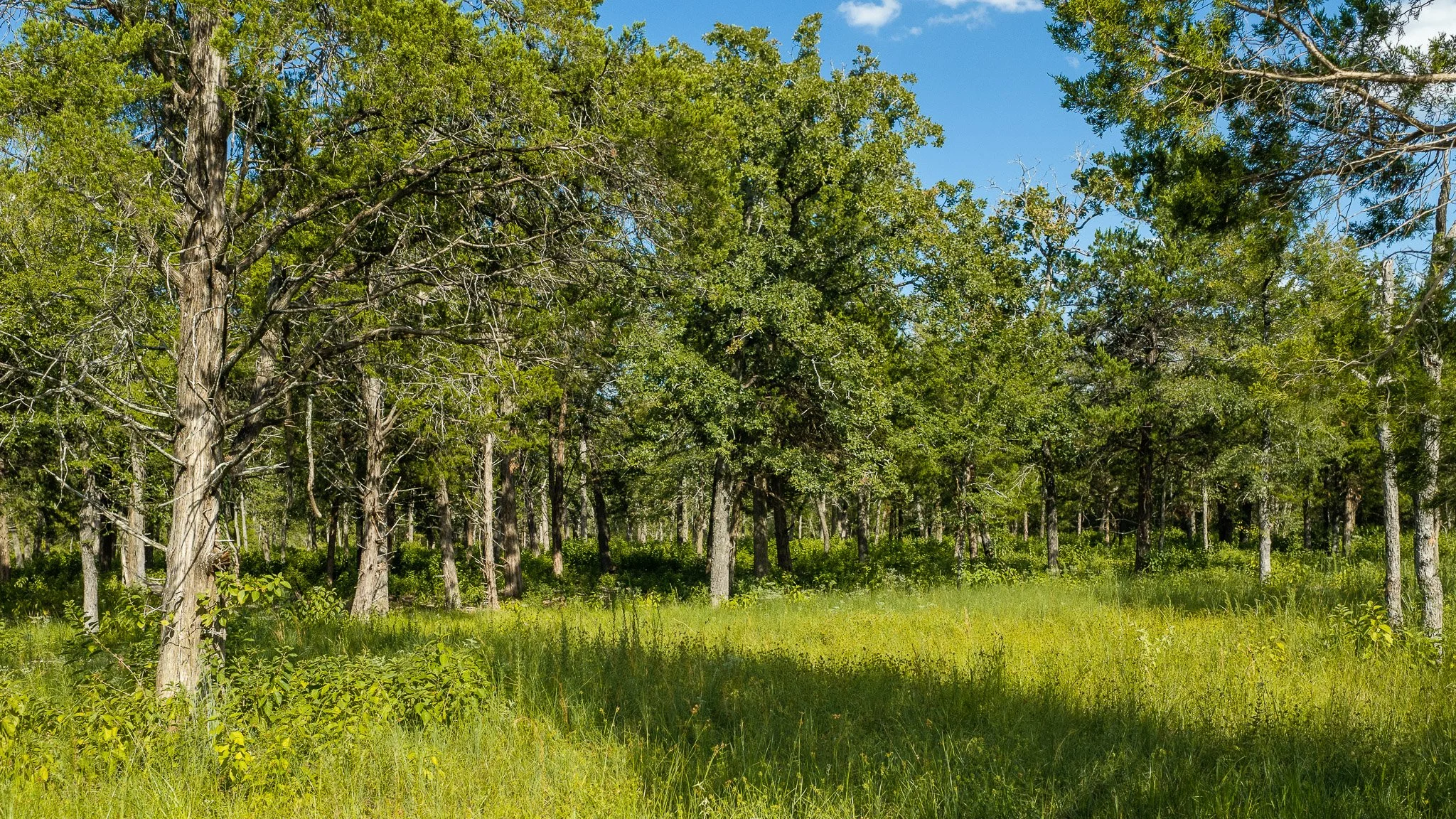 landscape-crestwood-18.jpg