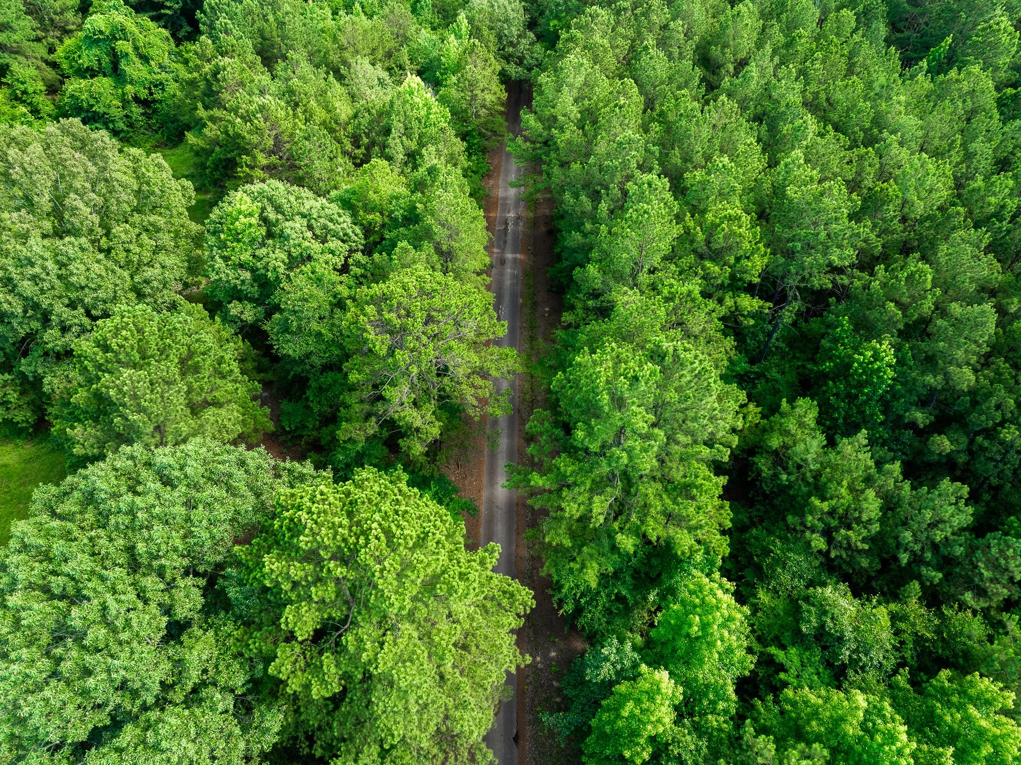 Tatum_Drone-1.jpg