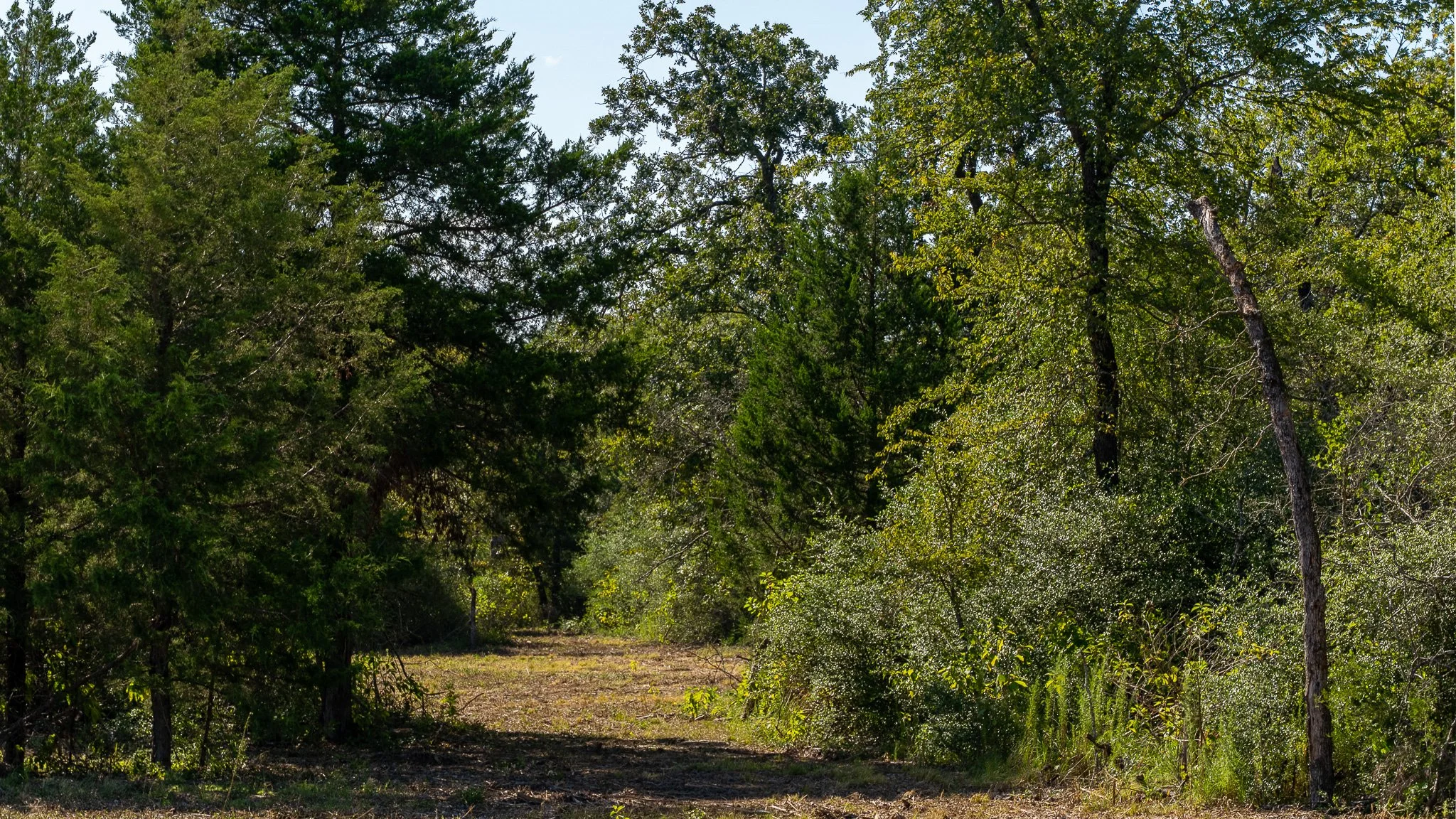 landscape-crestwood-46.jpg
