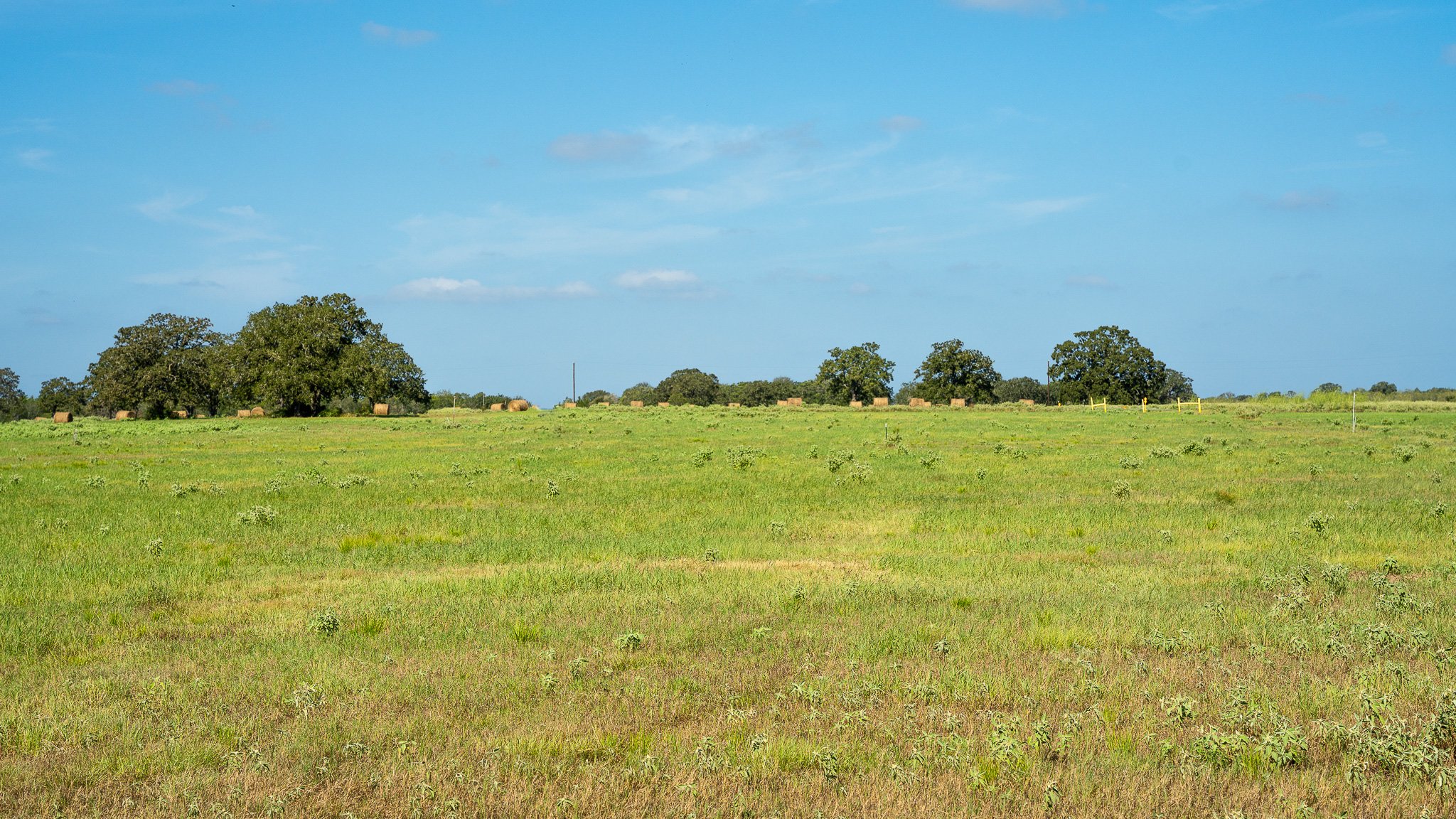 landscape-smithville-22.jpg