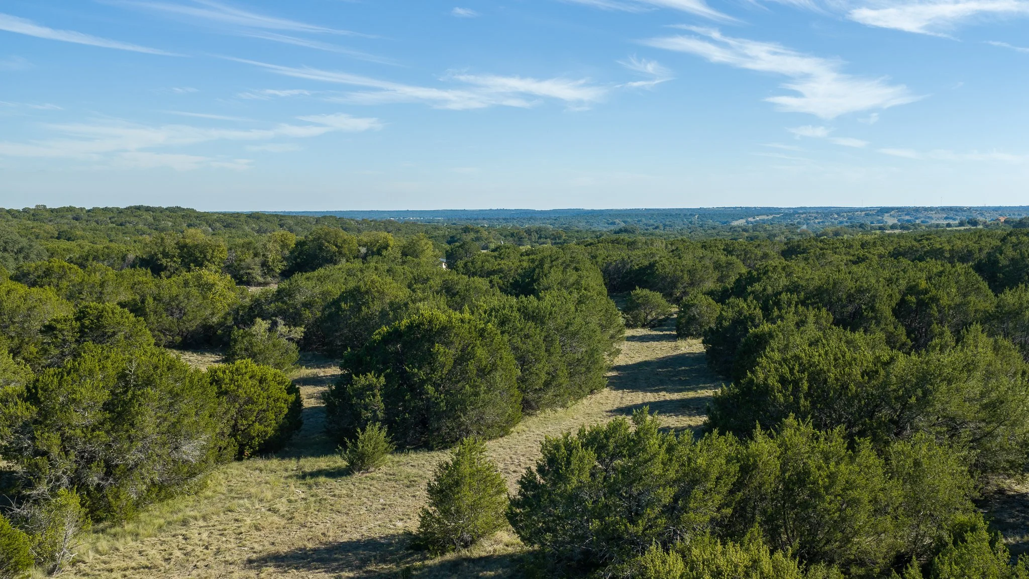 landscape-hamilton-30.jpg
