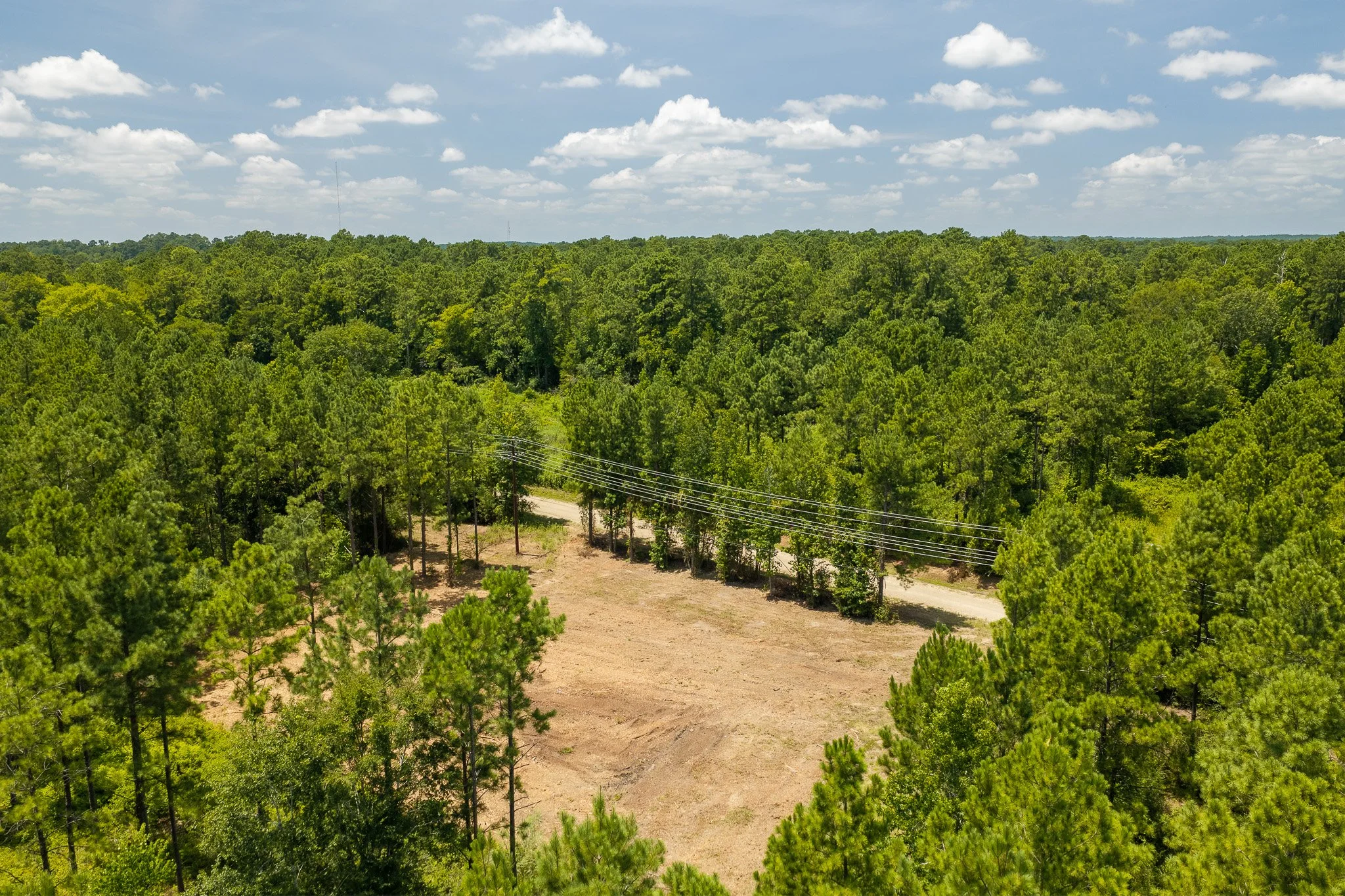 woodville-33.jpg