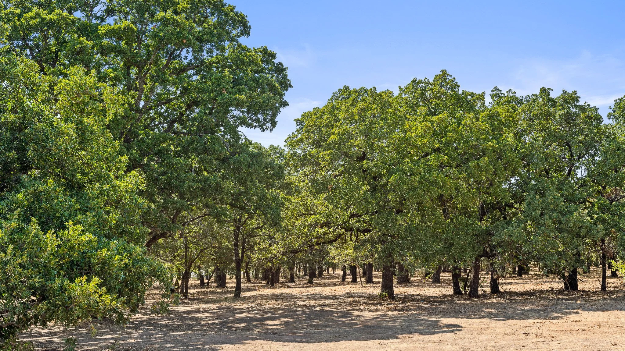 DSC09973-Landscape.jpg