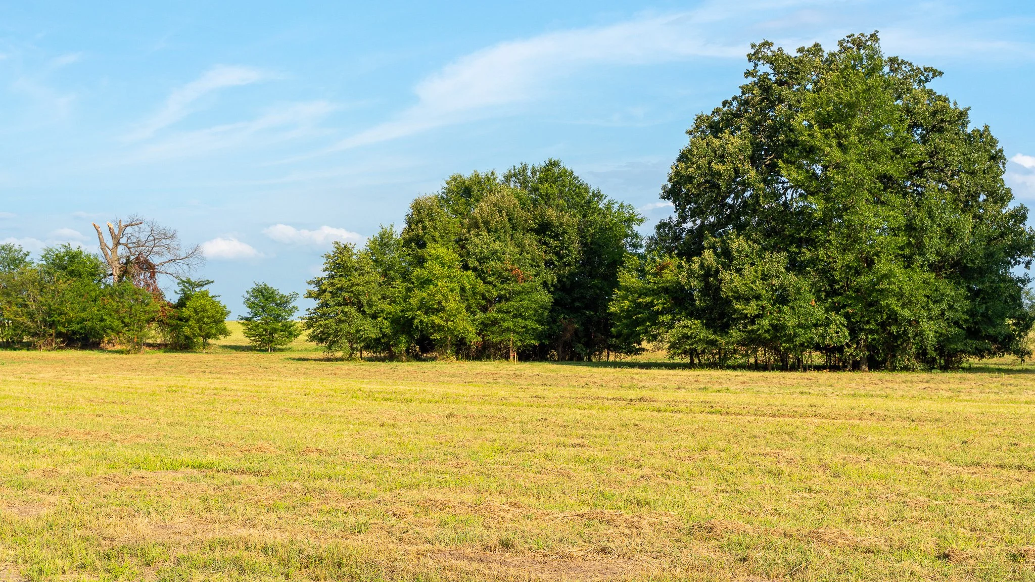 landscape-ground-summerdale-03012.jpg