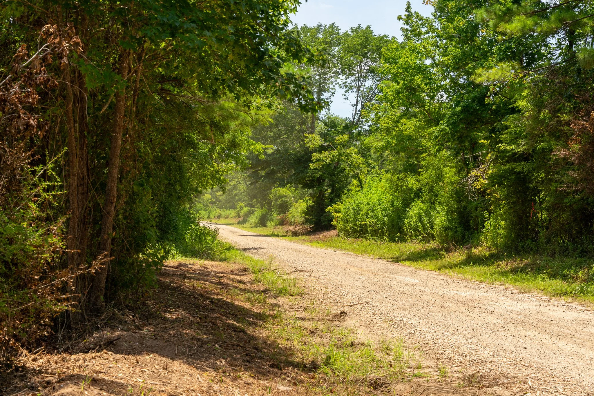woodville-79.jpg