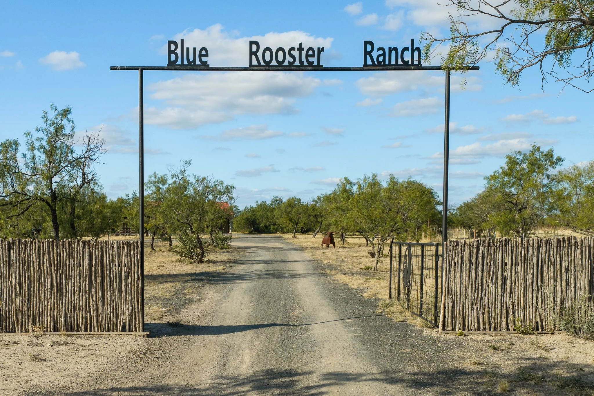 Blue_Rooster_Ranch-38.jpg